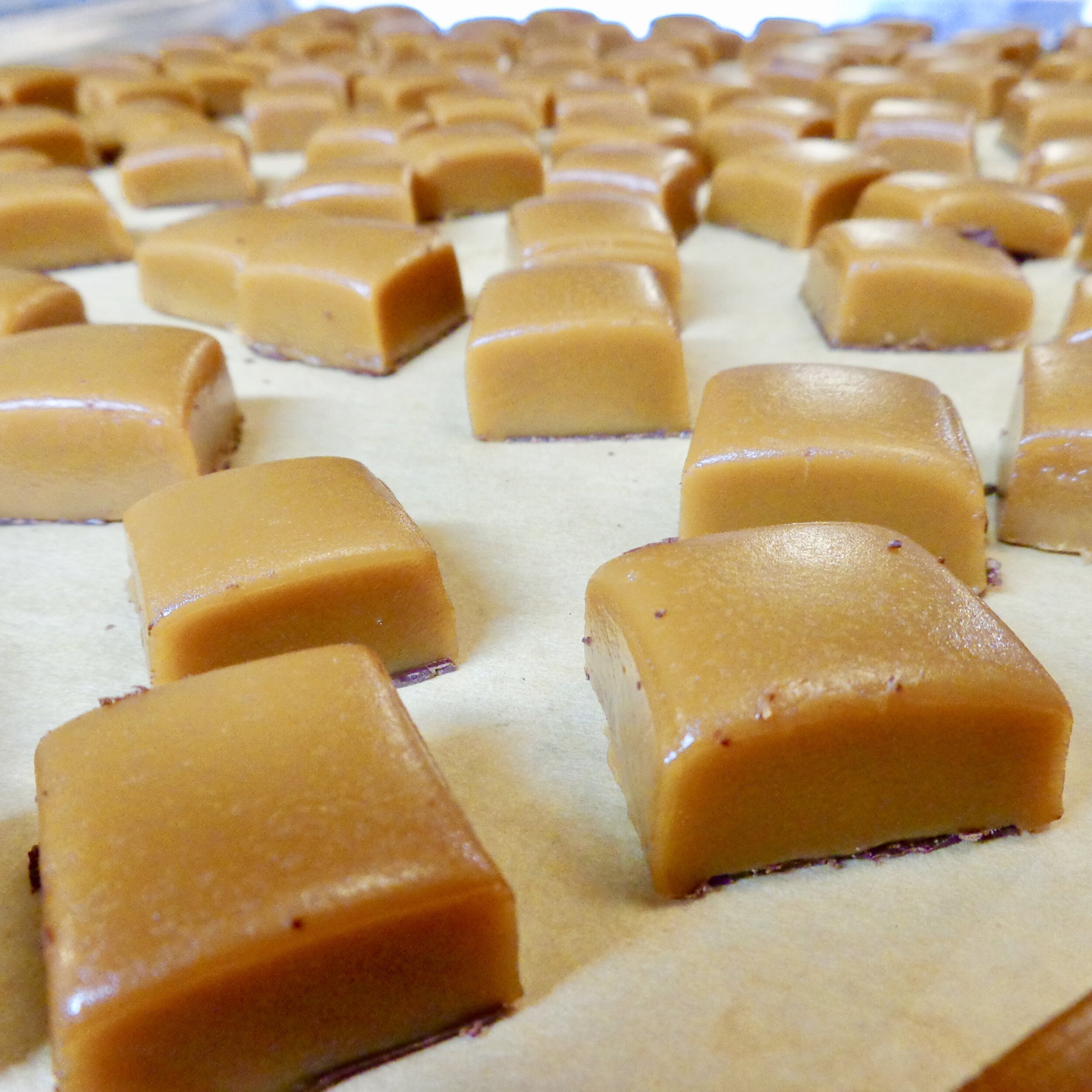 Superb Snowshoe &amp; Co caramel.