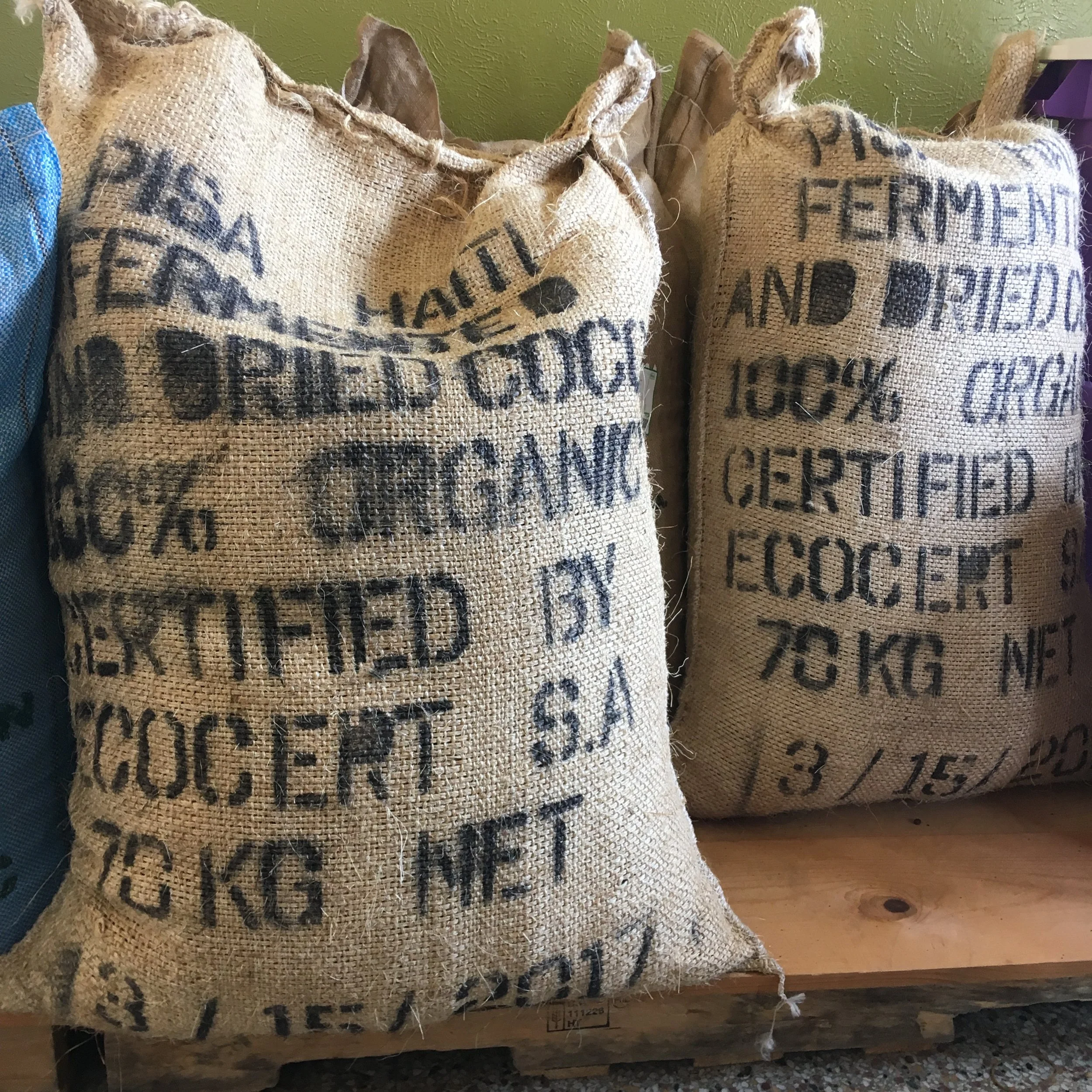  Two 150 pound bags of Haitian PISA cacao in sisal bags. 