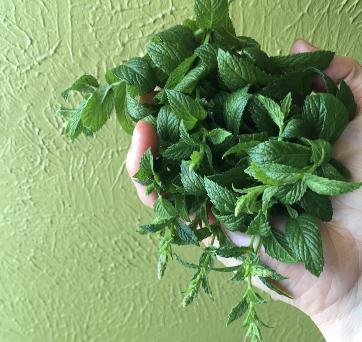 Screen Shot 2023-03-18 at 8.25.17 PM.png