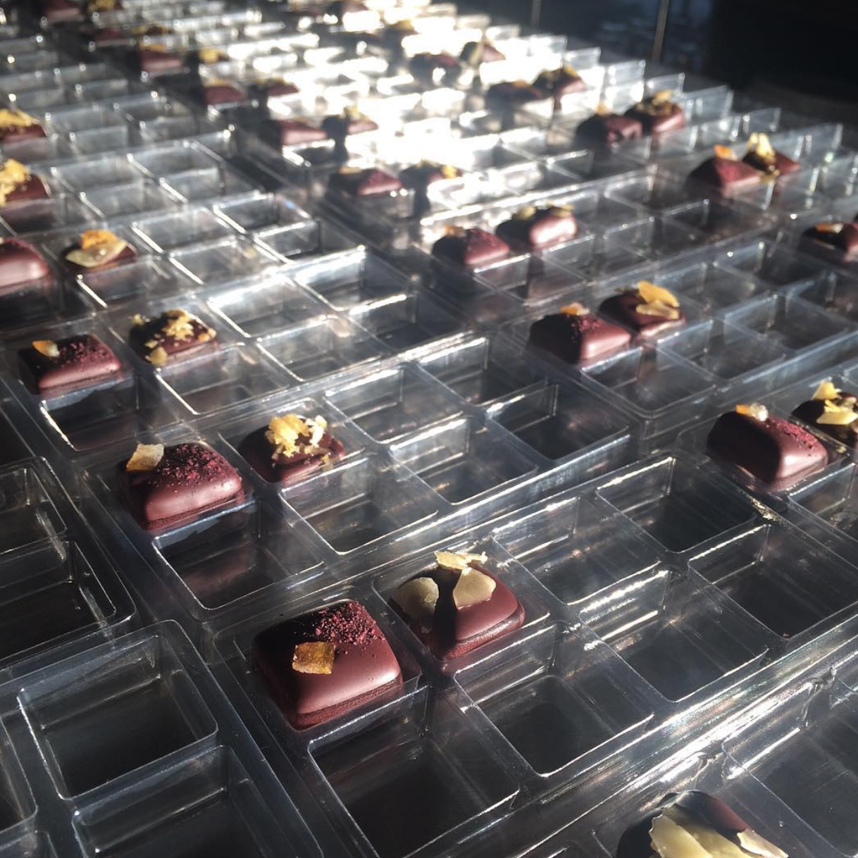 Screen Shot 2023-03-19 at 1.12.06 PM.png