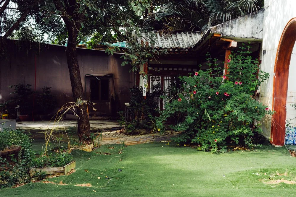 Red Flowers and Painted Wall_V2.jpg