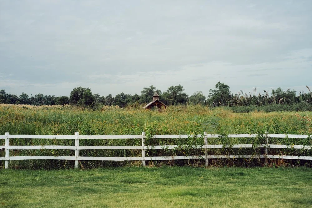White Fence and Field_V2.jpg