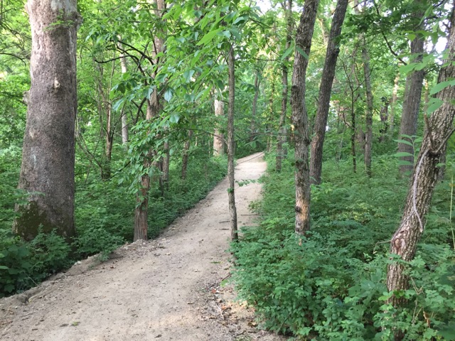 June 2016