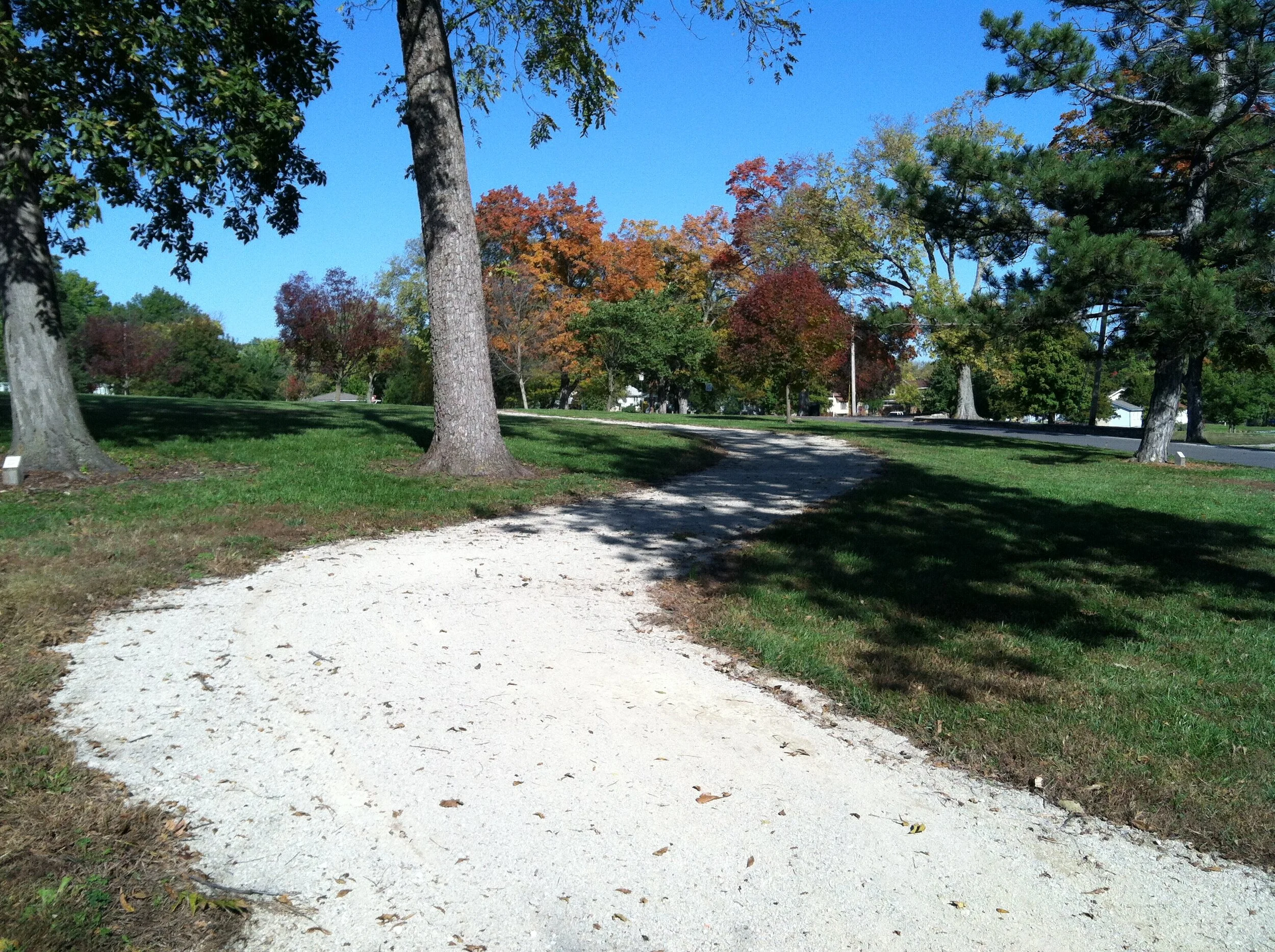 Autumn along trails Wallace Park