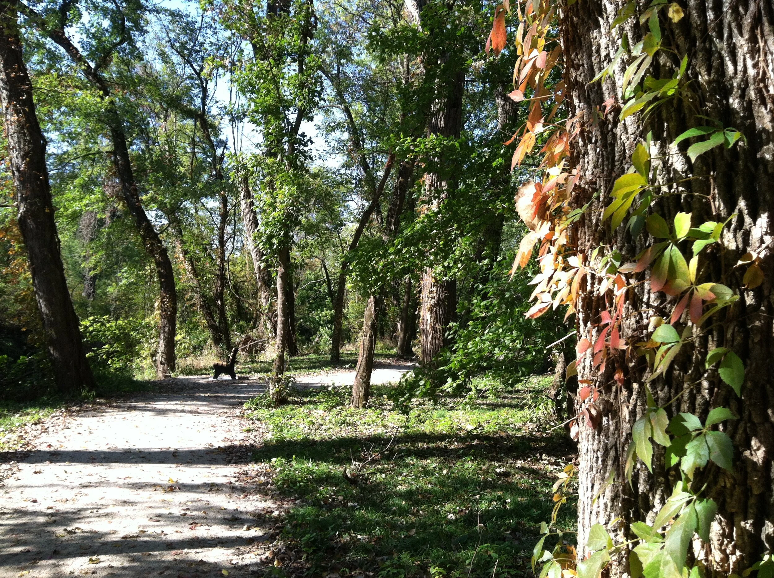 Any season is a great time to enjoy the trails!