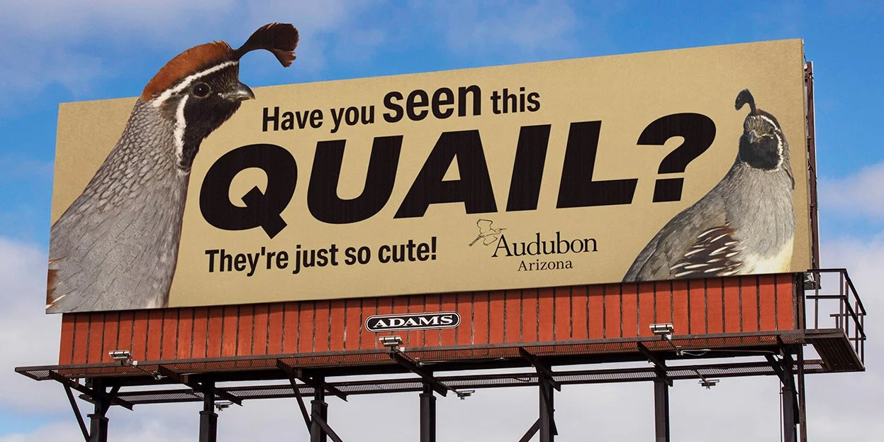 Quail_14x48wEXT-Mock_04-18-25.jpg