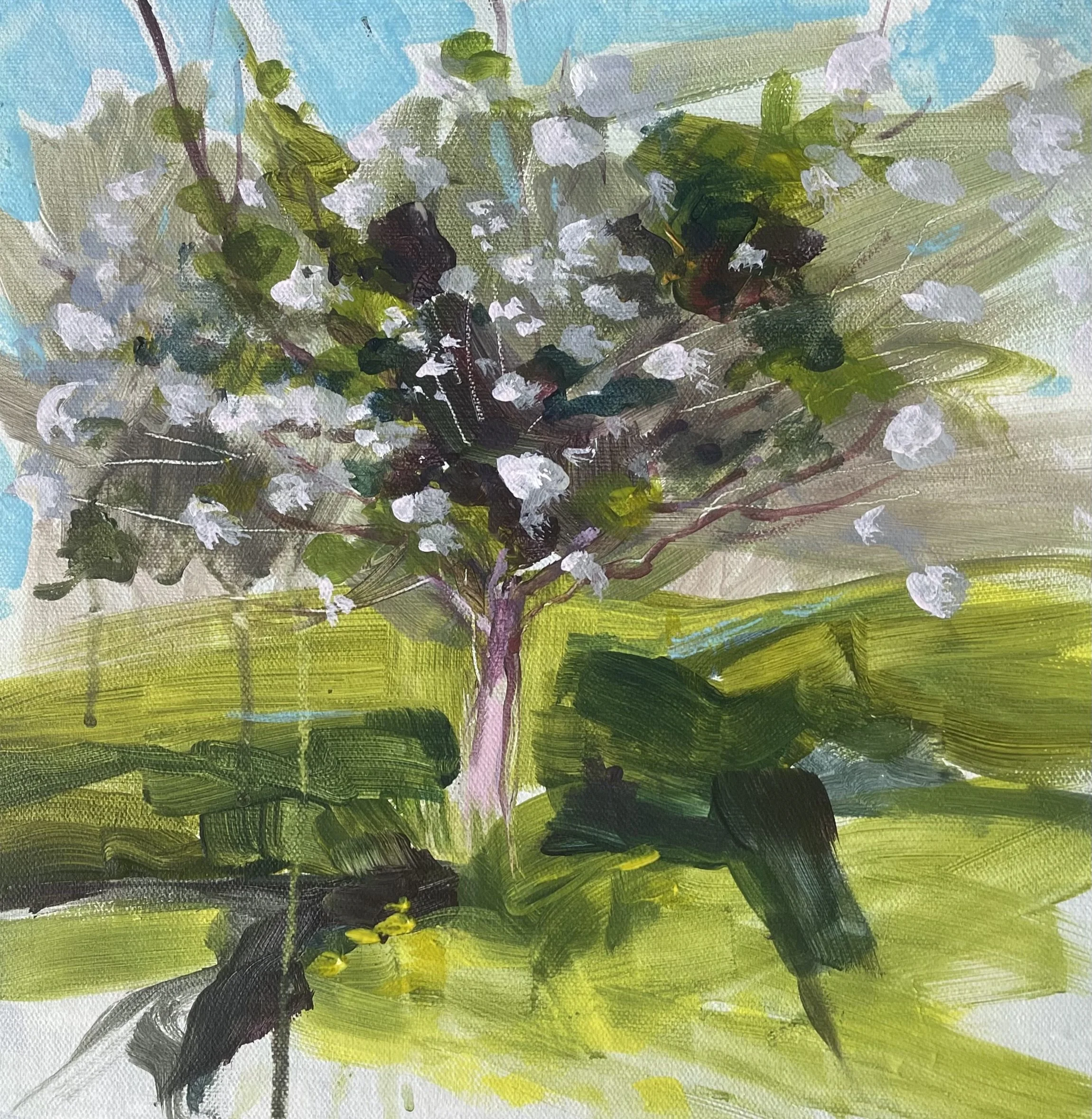 Bloom 1, Acrylic on canvas panel, 30x30cm