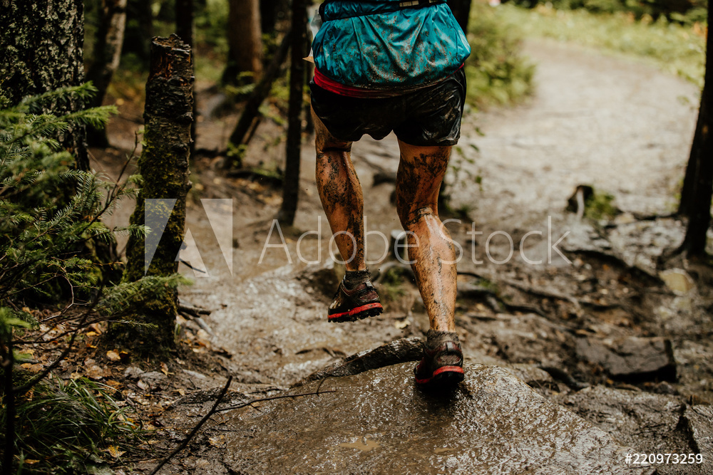 AdobeStock_220973259_Preview.jpeg
