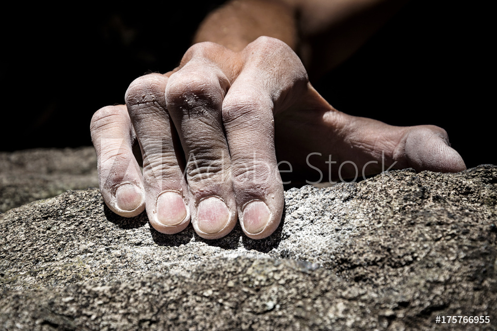 AdobeStock_175766955_Preview.jpeg