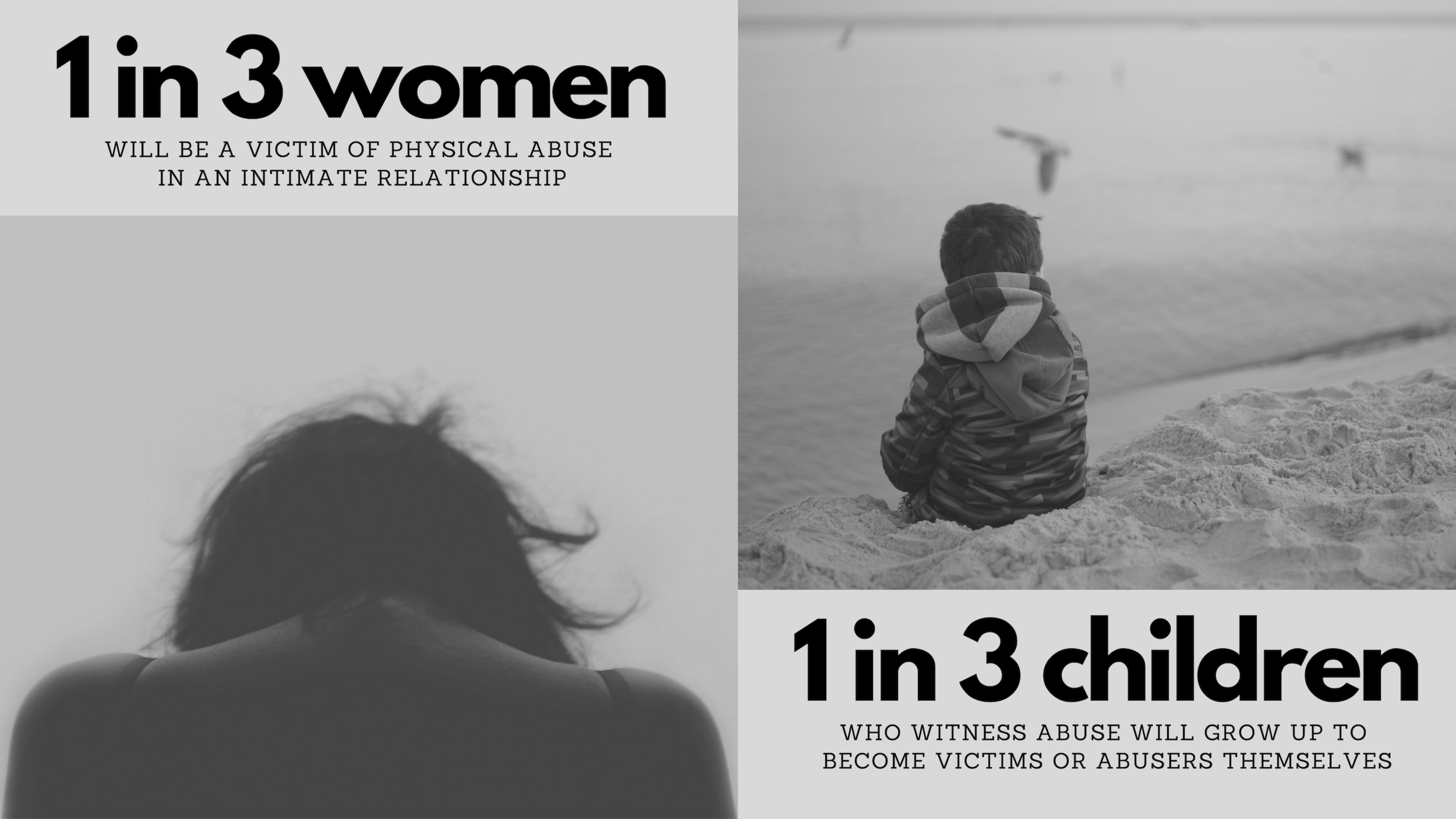 Domestic Violence 101 — WomenSV