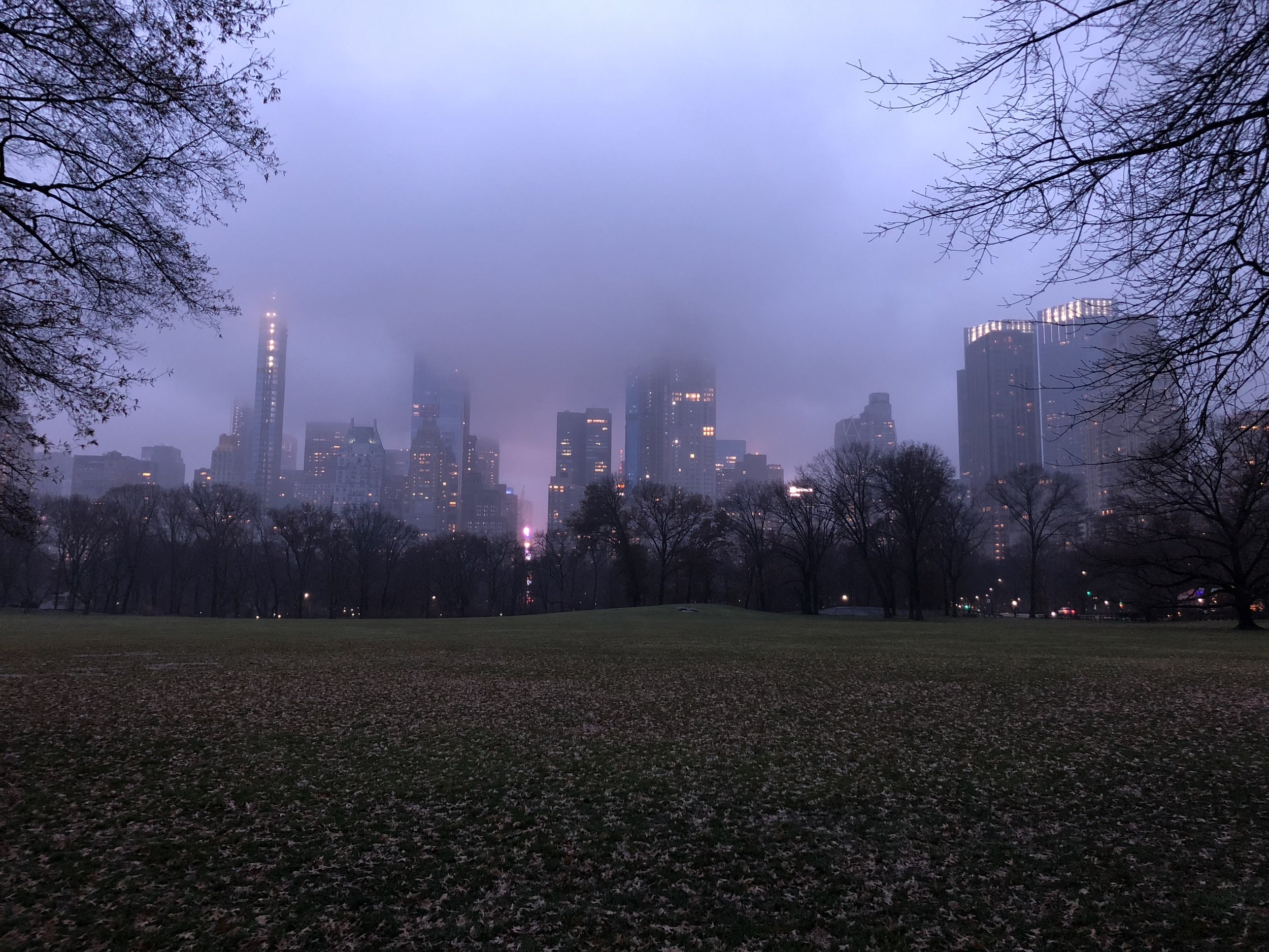 LOOK AHEAD: January in New York