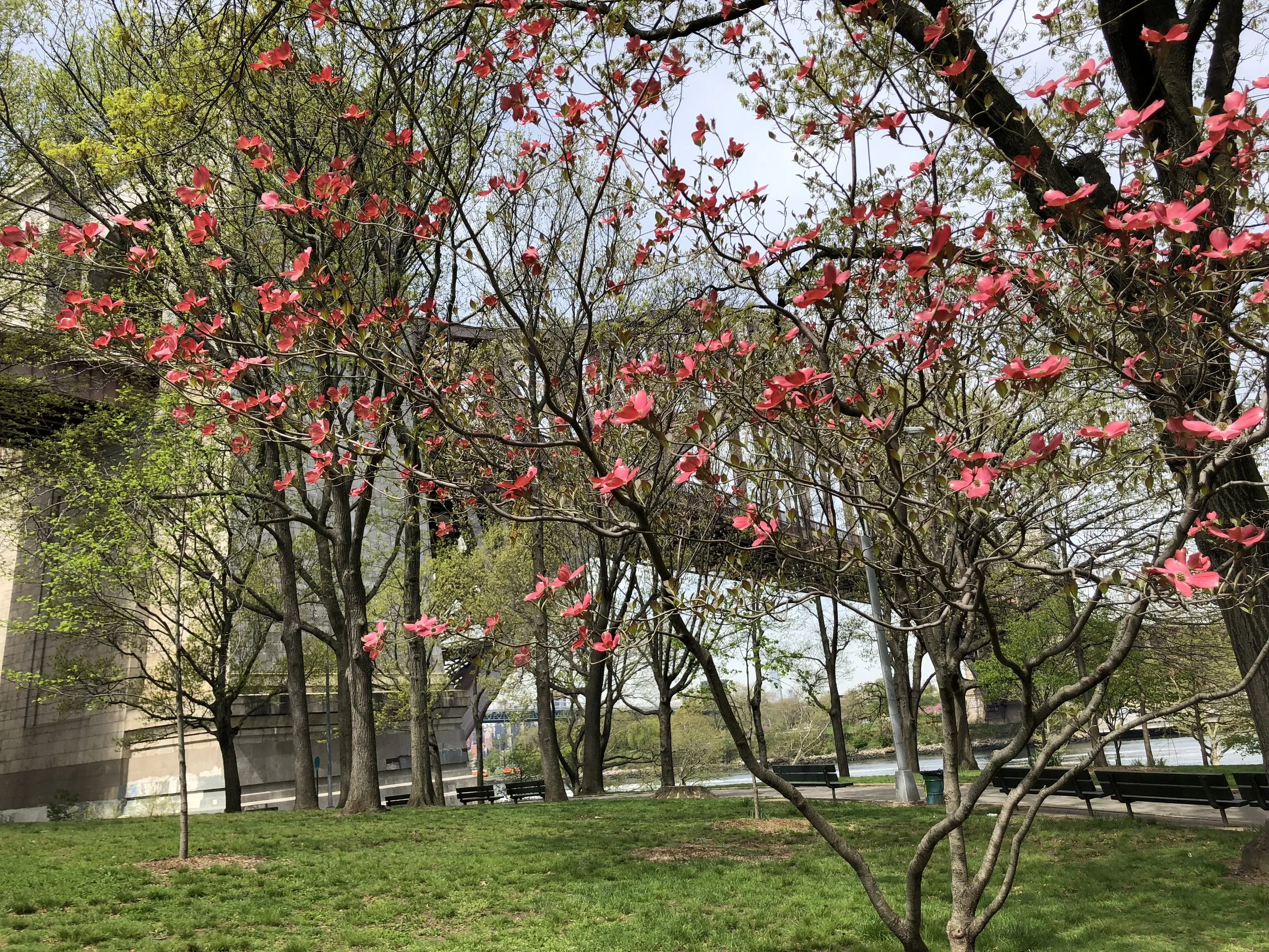 PREVIEW: May's Classical Music Highlights in NYC