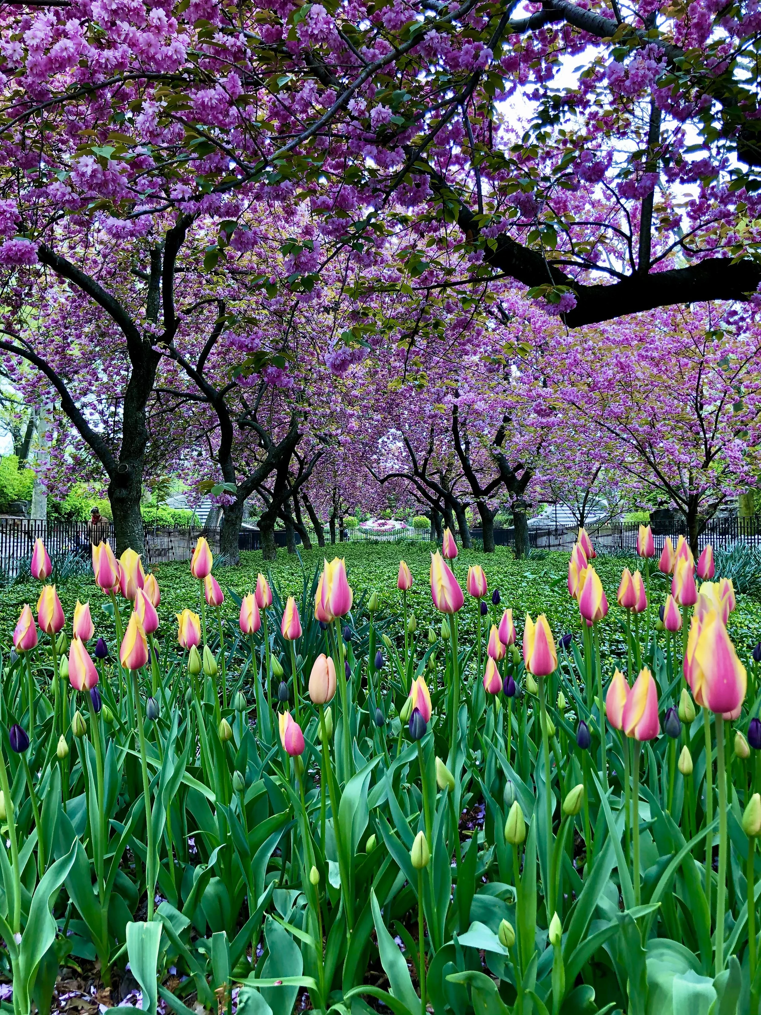 PREVIEW: April's Classical Music in NYC