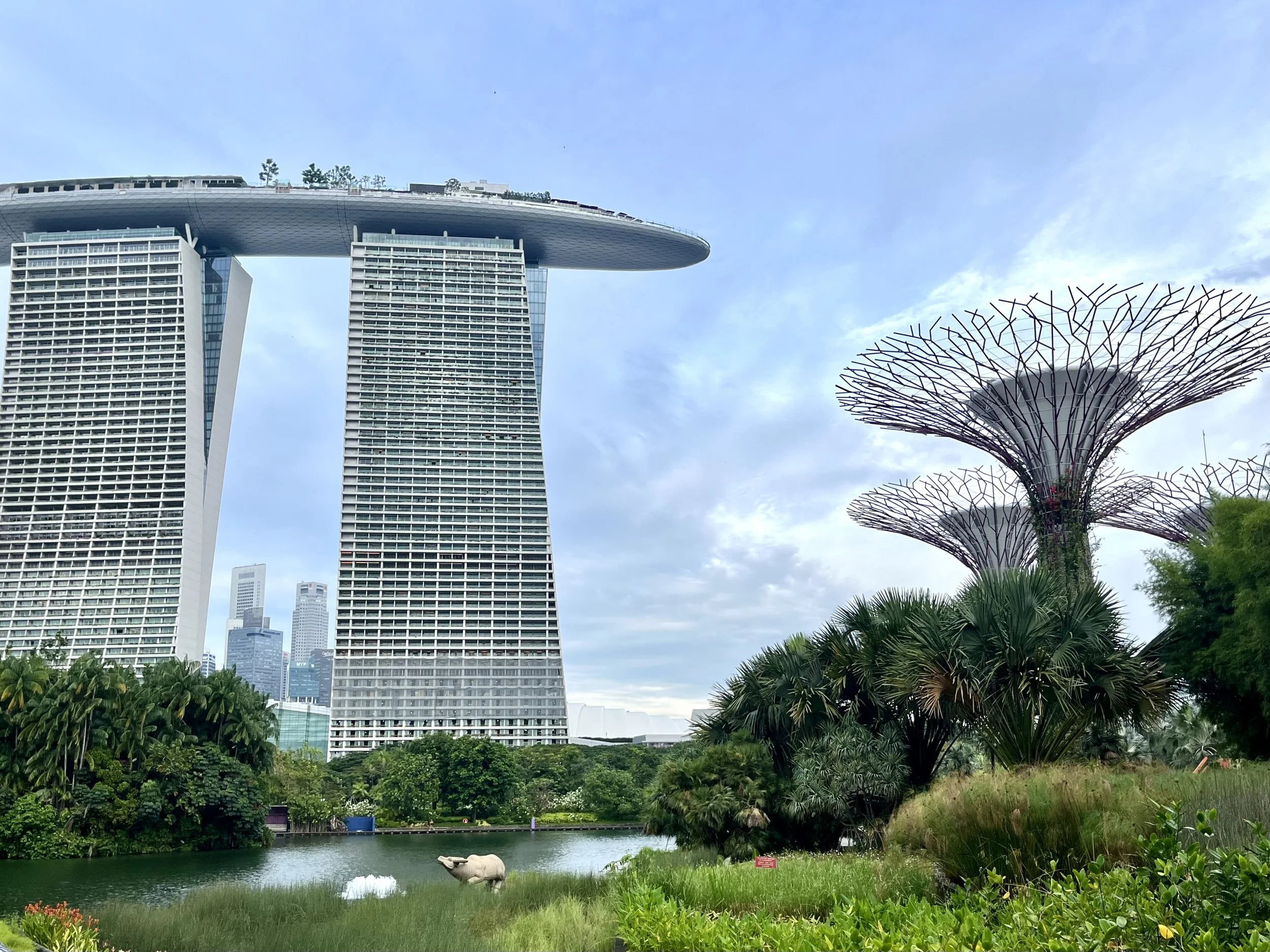 Dispatch from Singapore