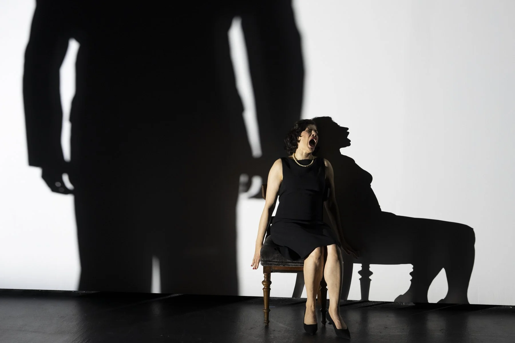 REVIEW: Barber's Vanessa Emerges From the Shadows