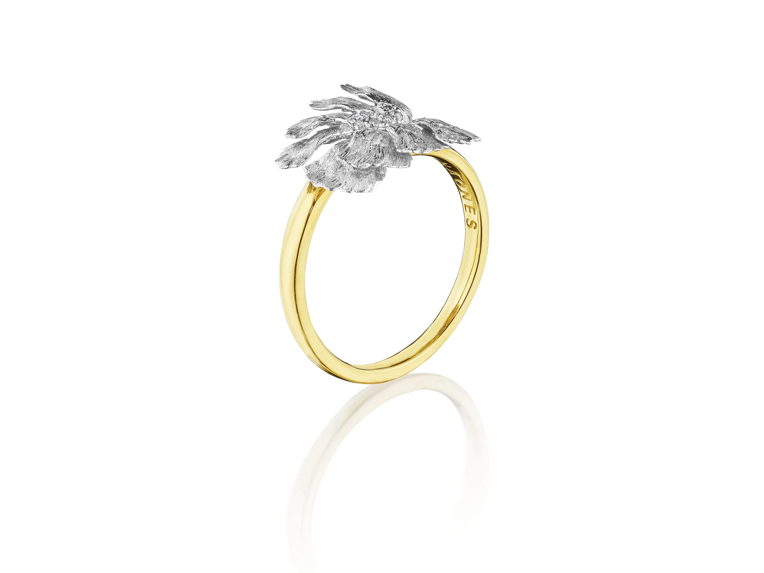 Take Flight Ring