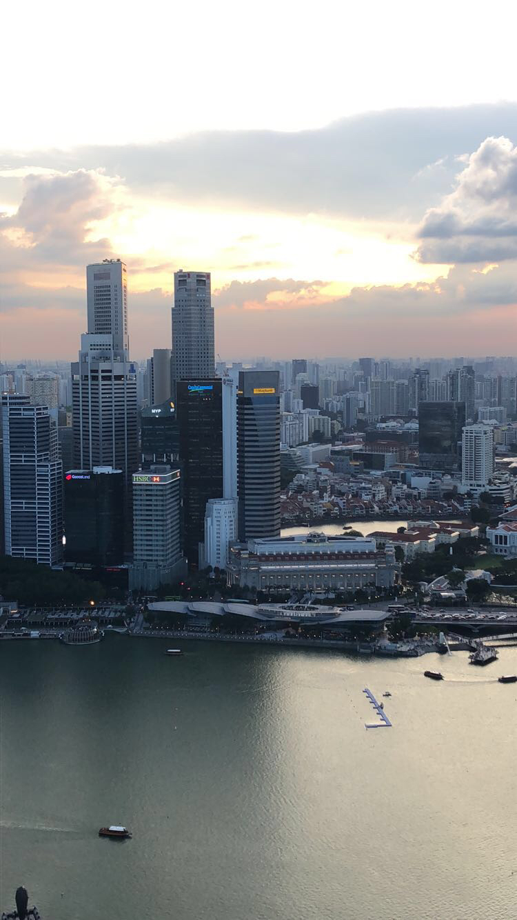 SingaporeCityView.jpeg