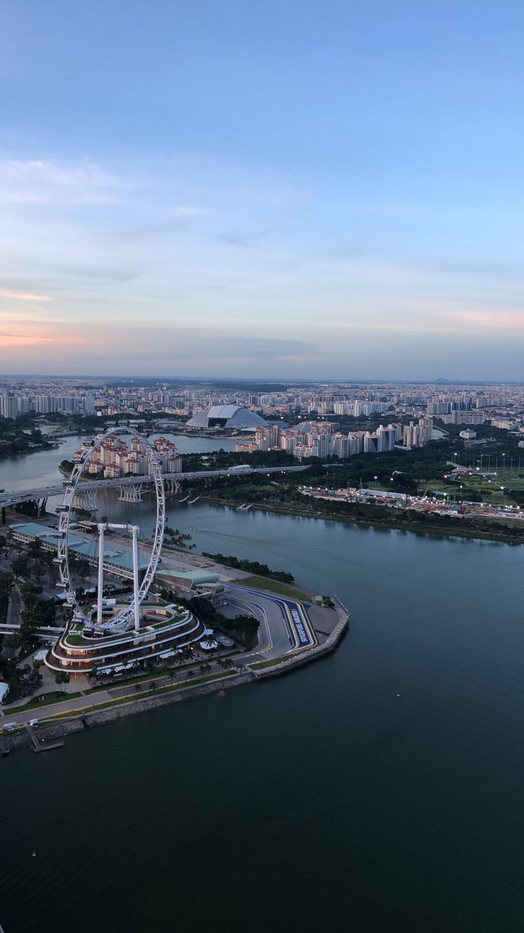 SingaporeFerrisWheel.jpeg