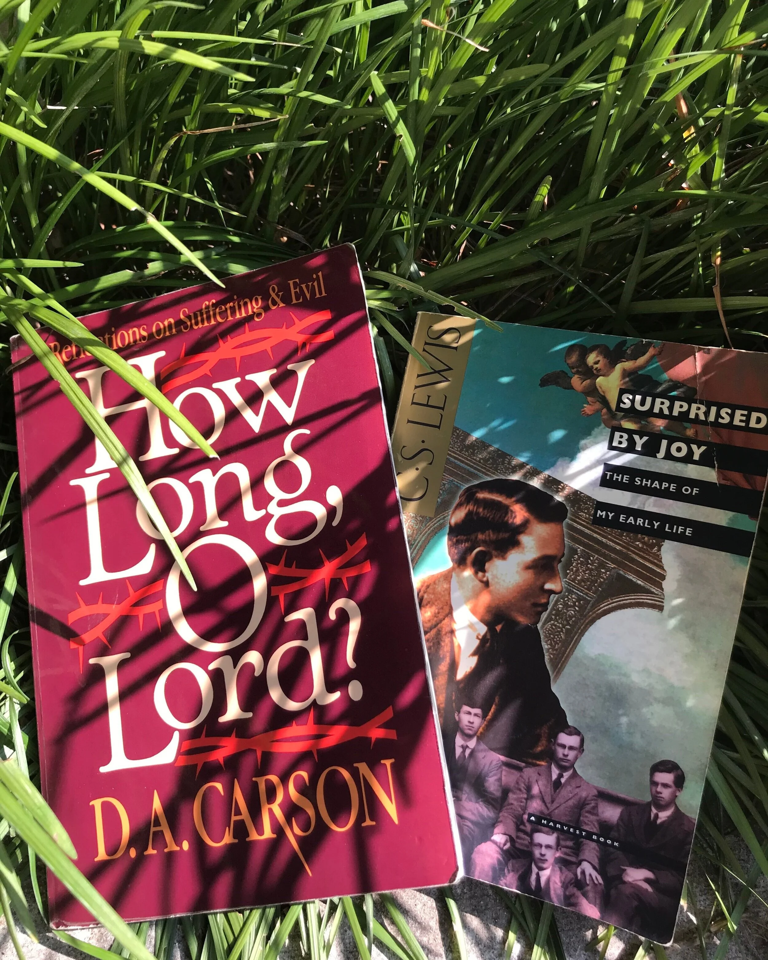 Blog+Books.jpg