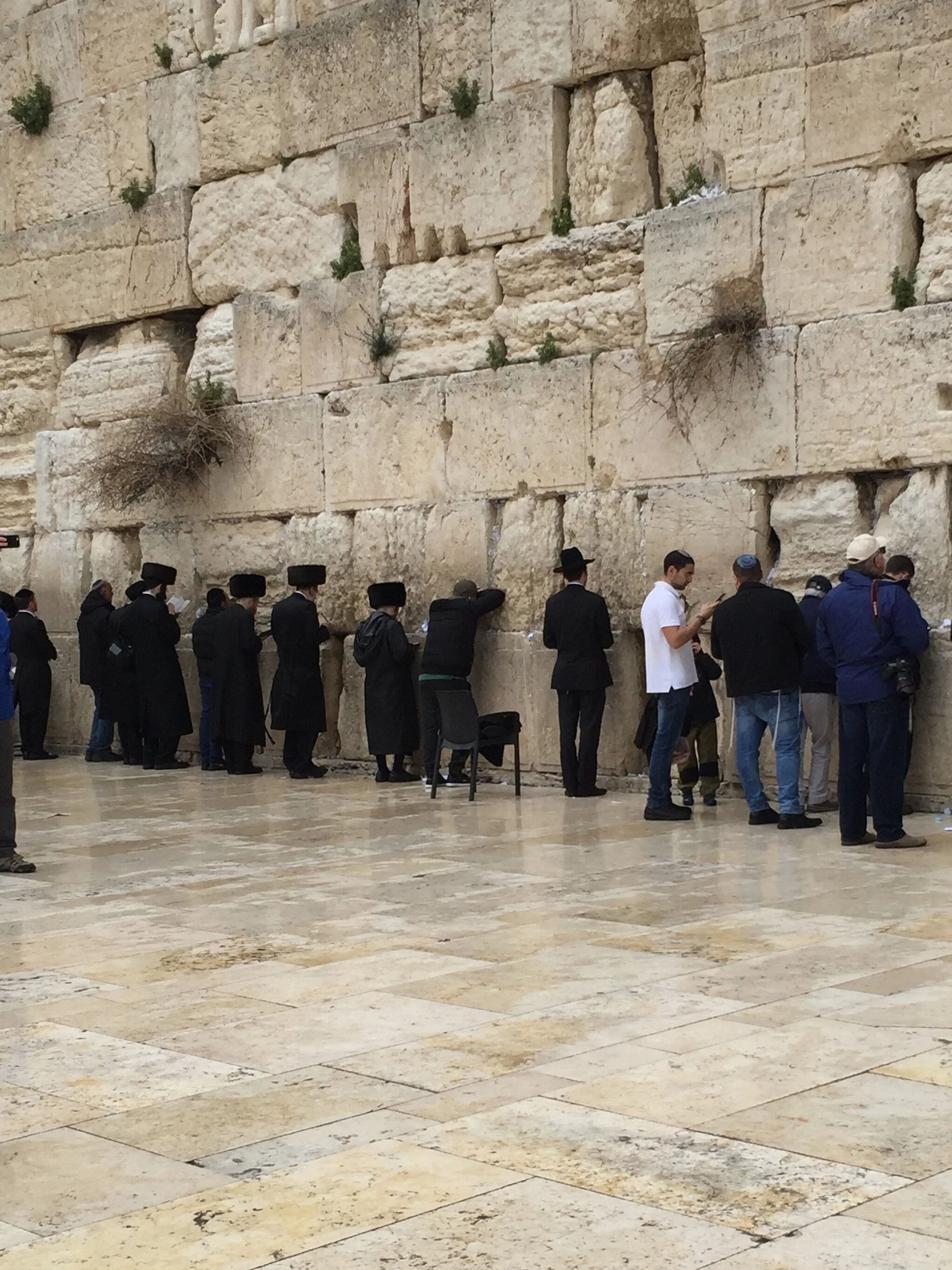 Chiseled and “dressed” stone at the Western Wall of Solomon’s Temple.