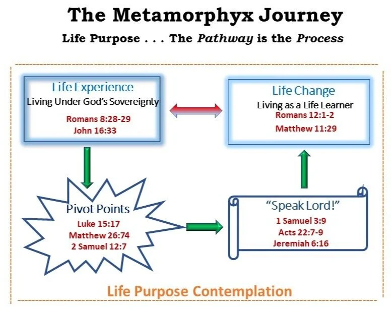 Life+Purpose+Contemplation+--+Web+Site+Graphic.jpg