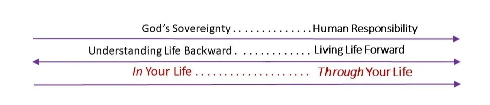 Three+Lines+--Web+Site.jpg