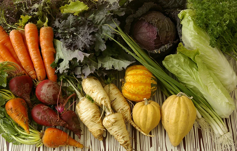 Half CSA Share — 6 installments (Direct Link)