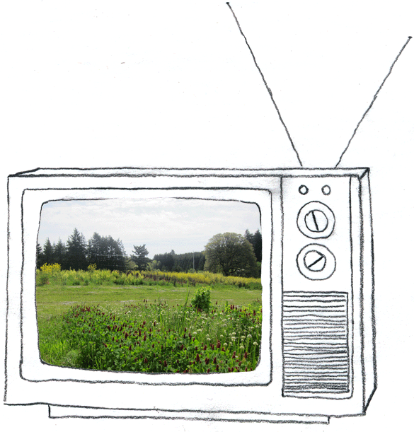 Animated_Tractor.gif