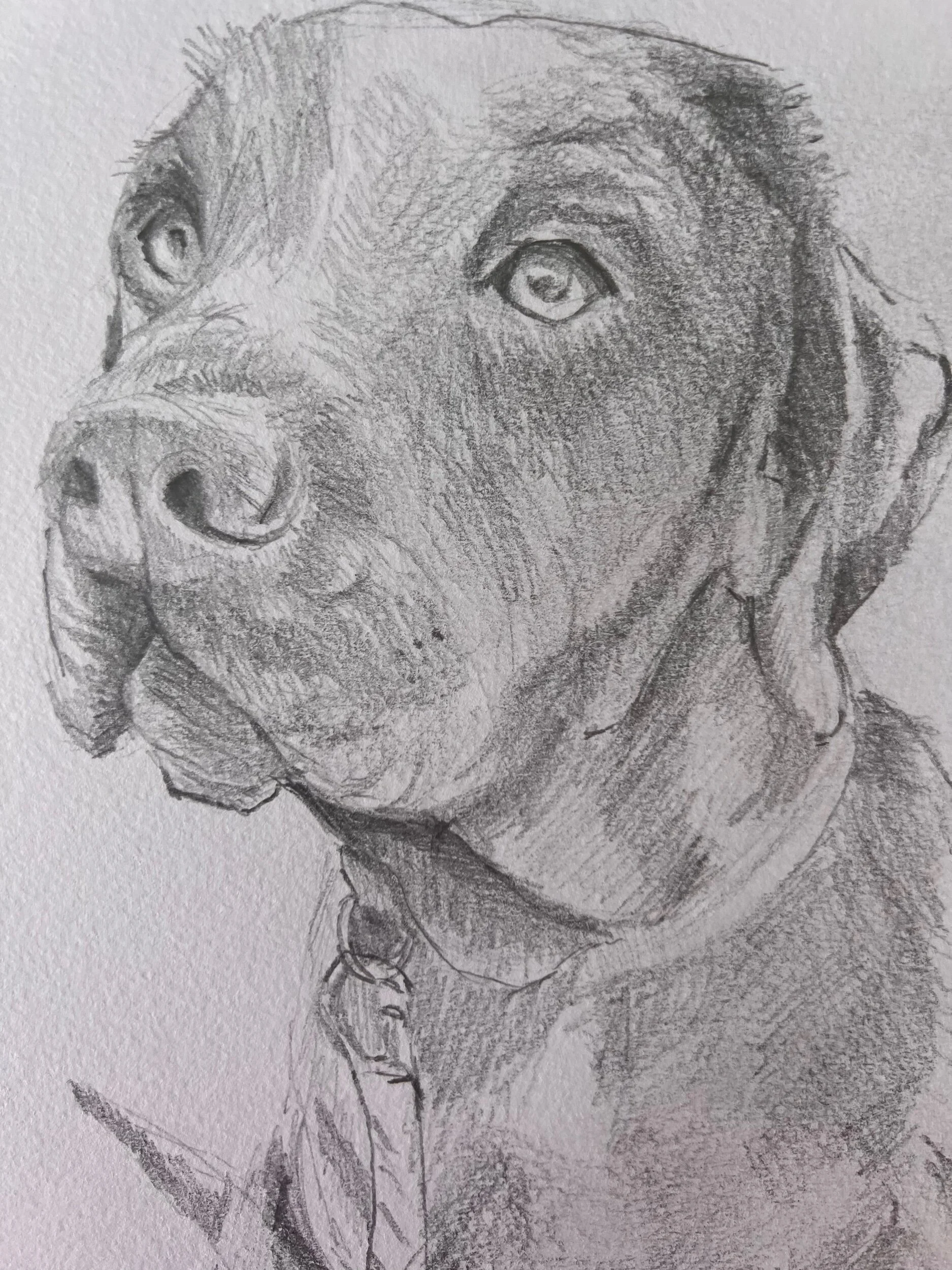 06148FC9-88DB-463F-A032-7BC571AD58BA