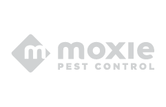 Moxie.png