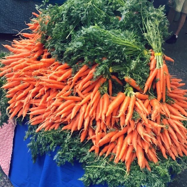 These carrots though! I recently visited the @portlandfarmers PSU Saturday market and found a plethora of colorful vegetables. Blog article coming soon! #carrots #vegetables #portland #portlandfarmersmarket #saturdaymarket #organic #fresh