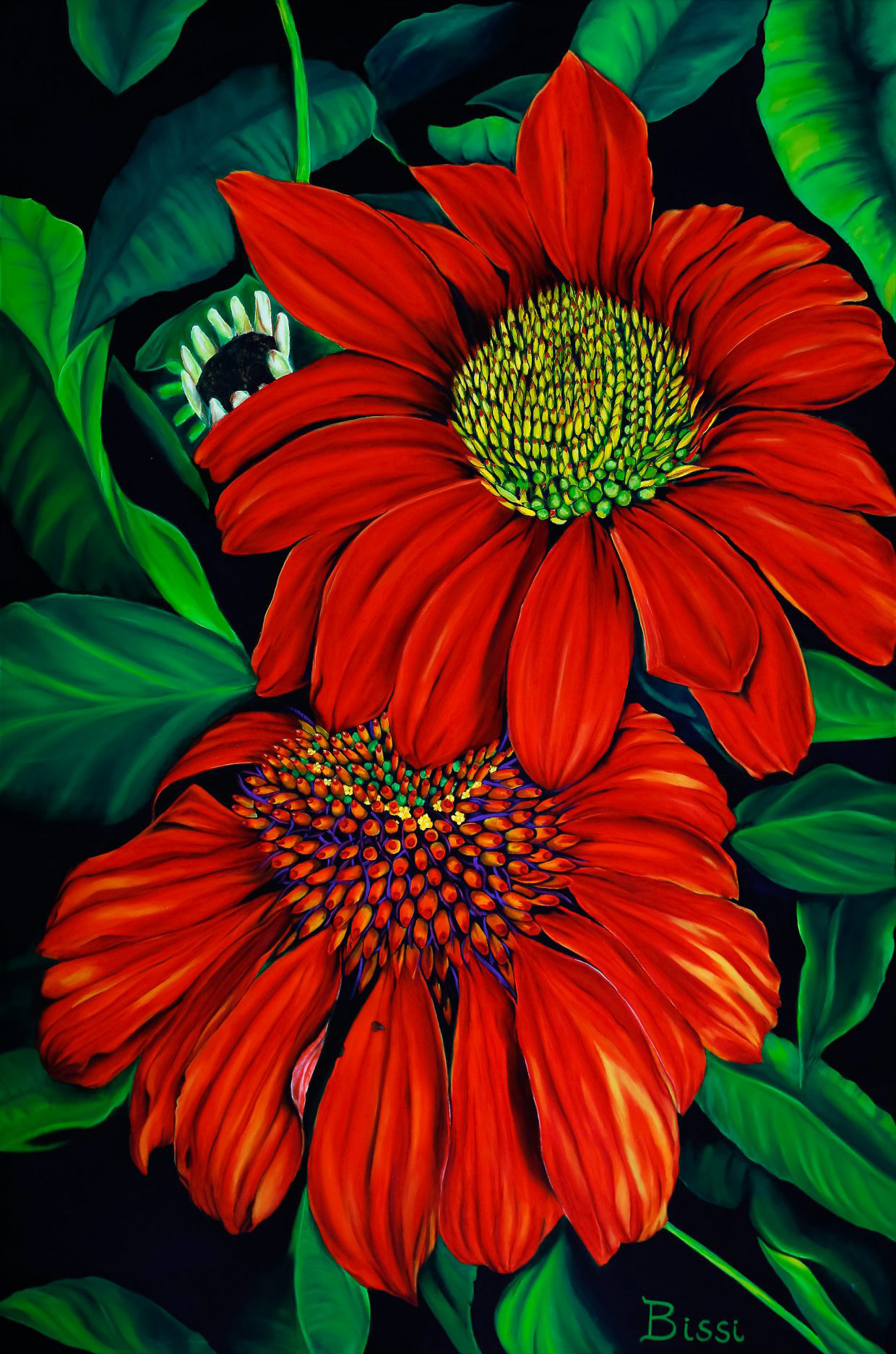 SAVANNAH CONE FLOWERS