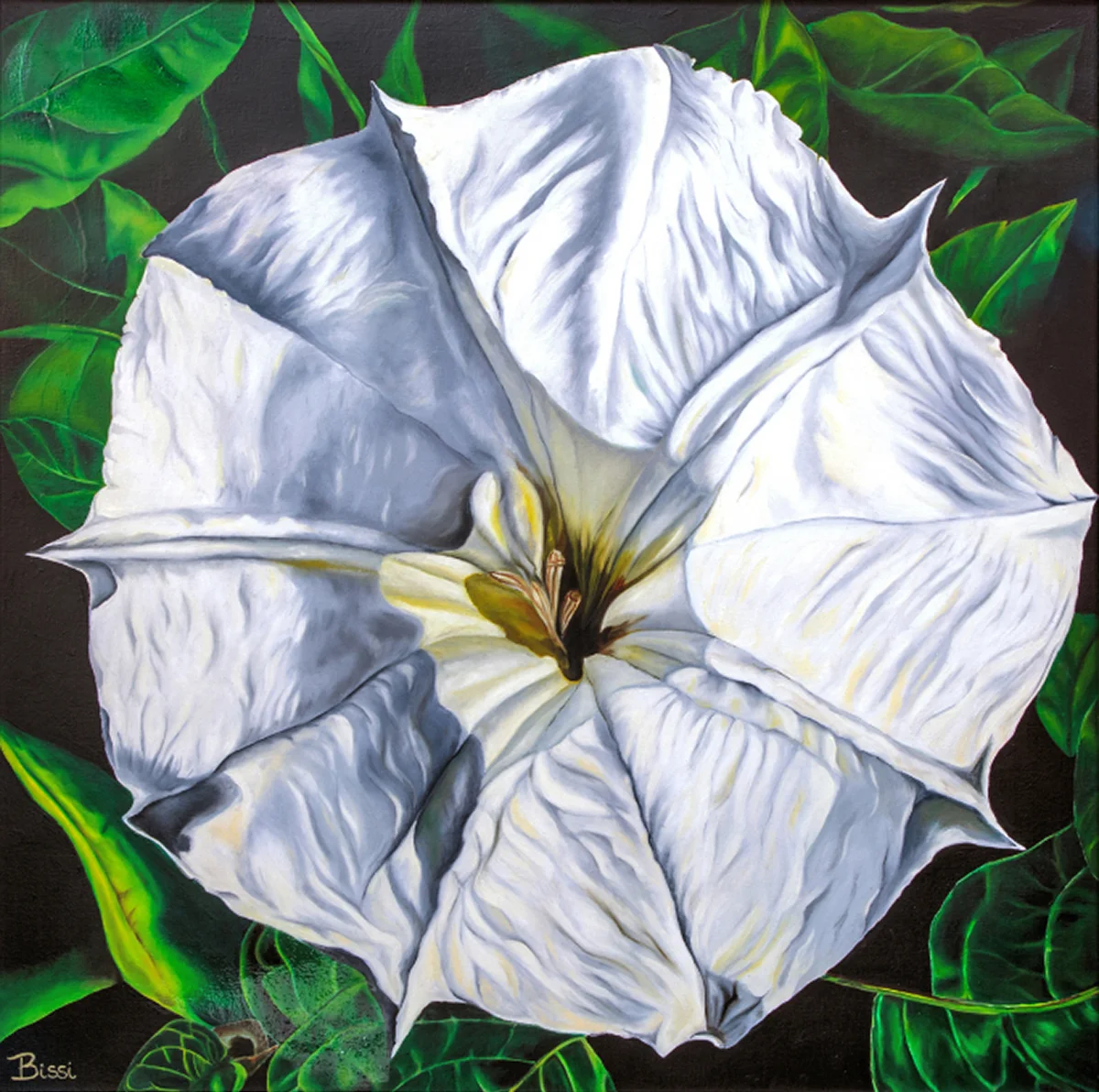 CLOISTER'S MOON FLOWER