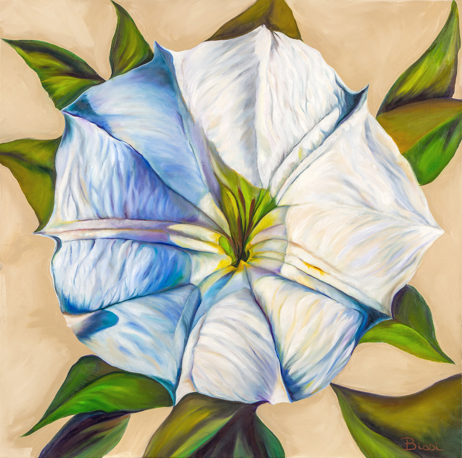 ROSENTHAL MOON FLOWER