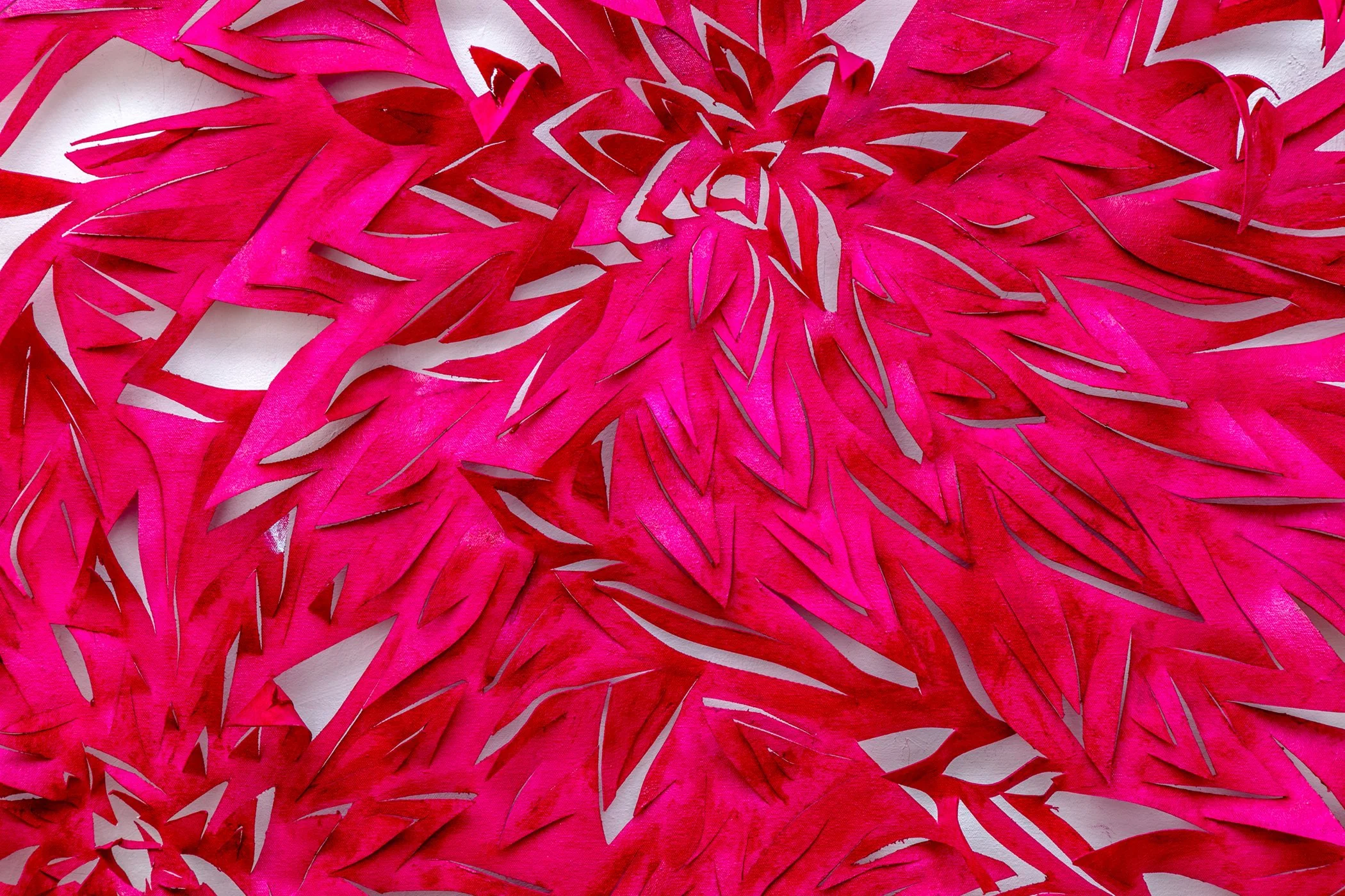 Hot Pink Chrysanthemum (Detail)