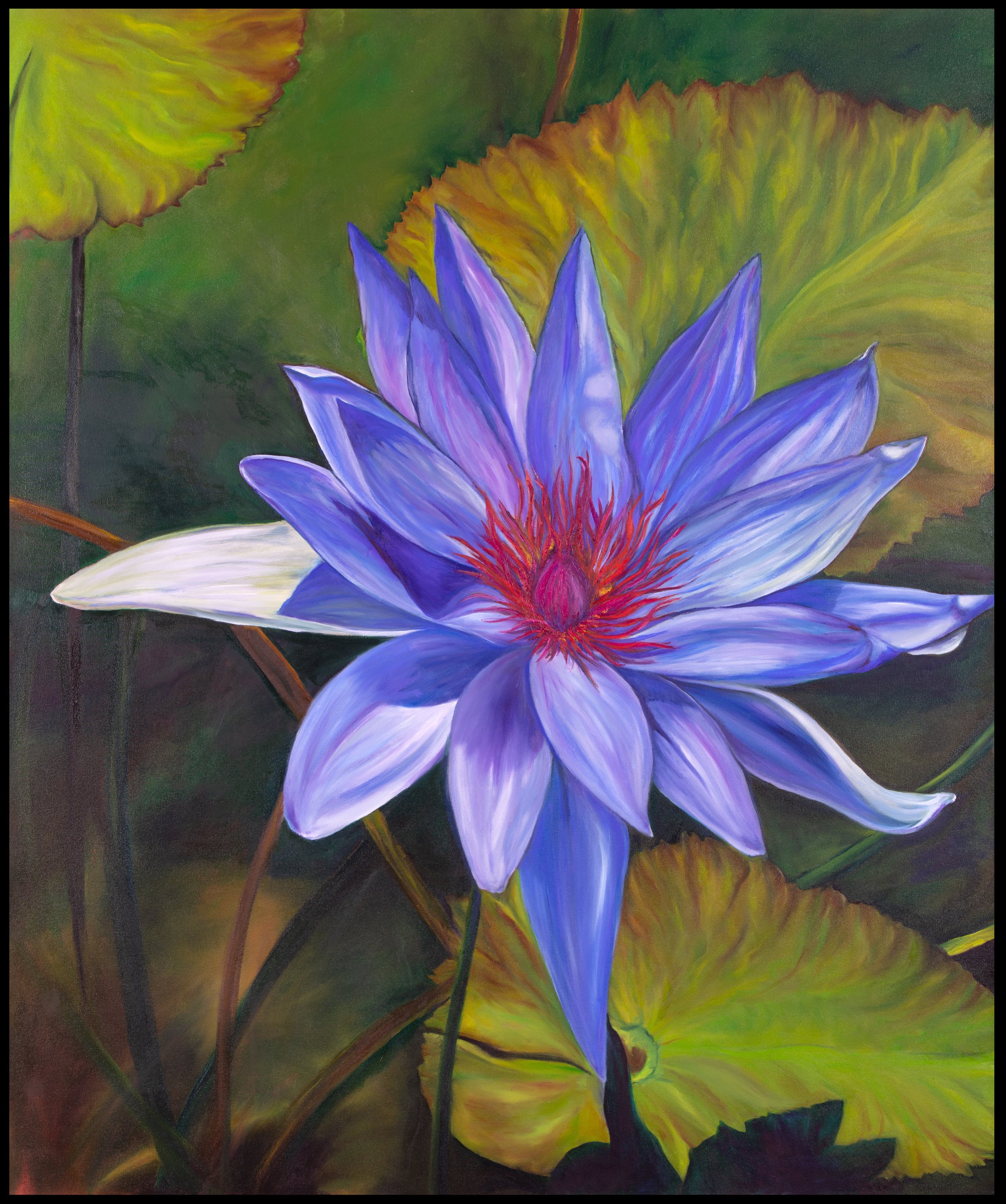 Water Lily #2