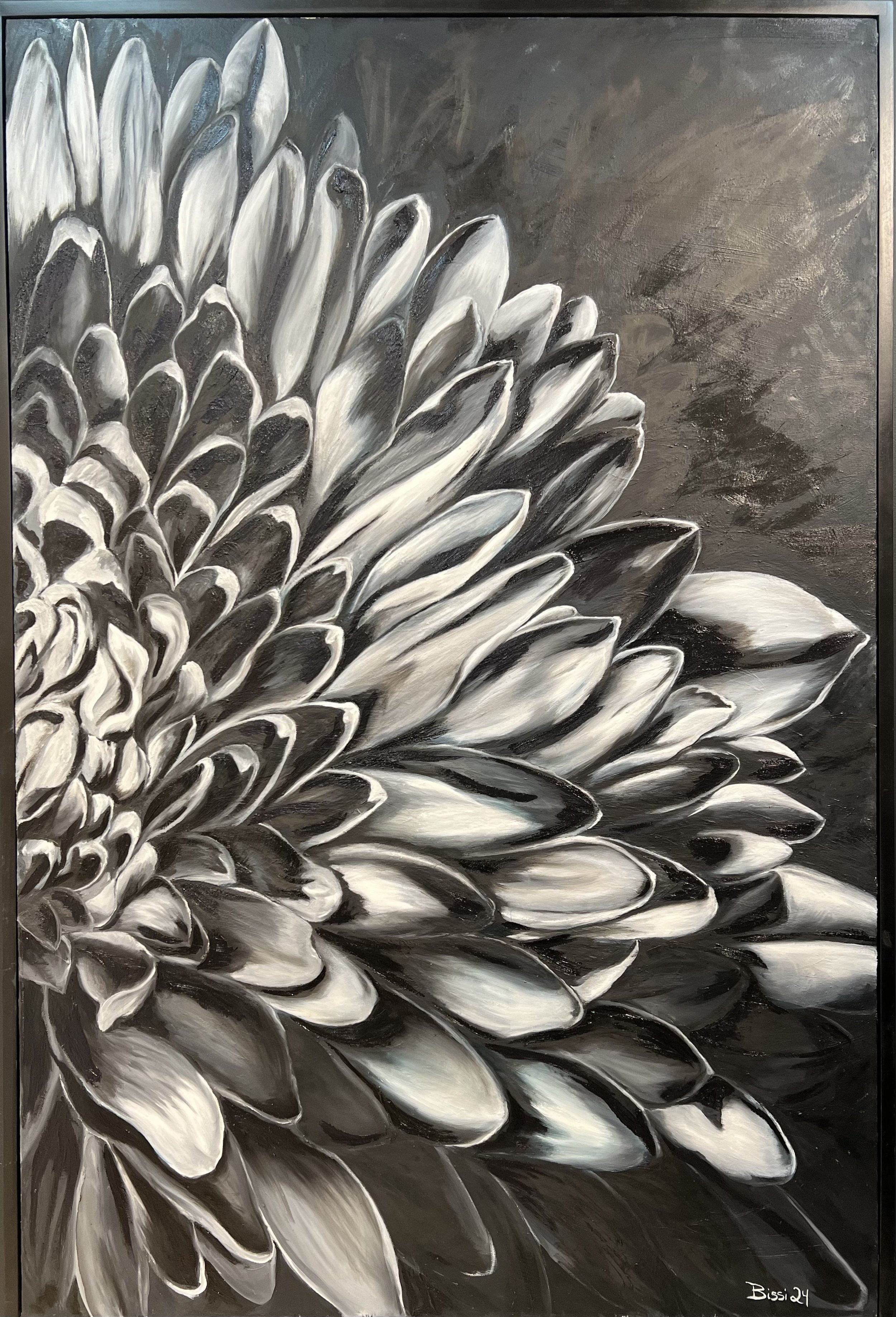 Shadow Chrysanthemum