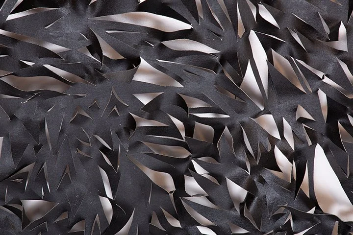 Black Slice (Detail)