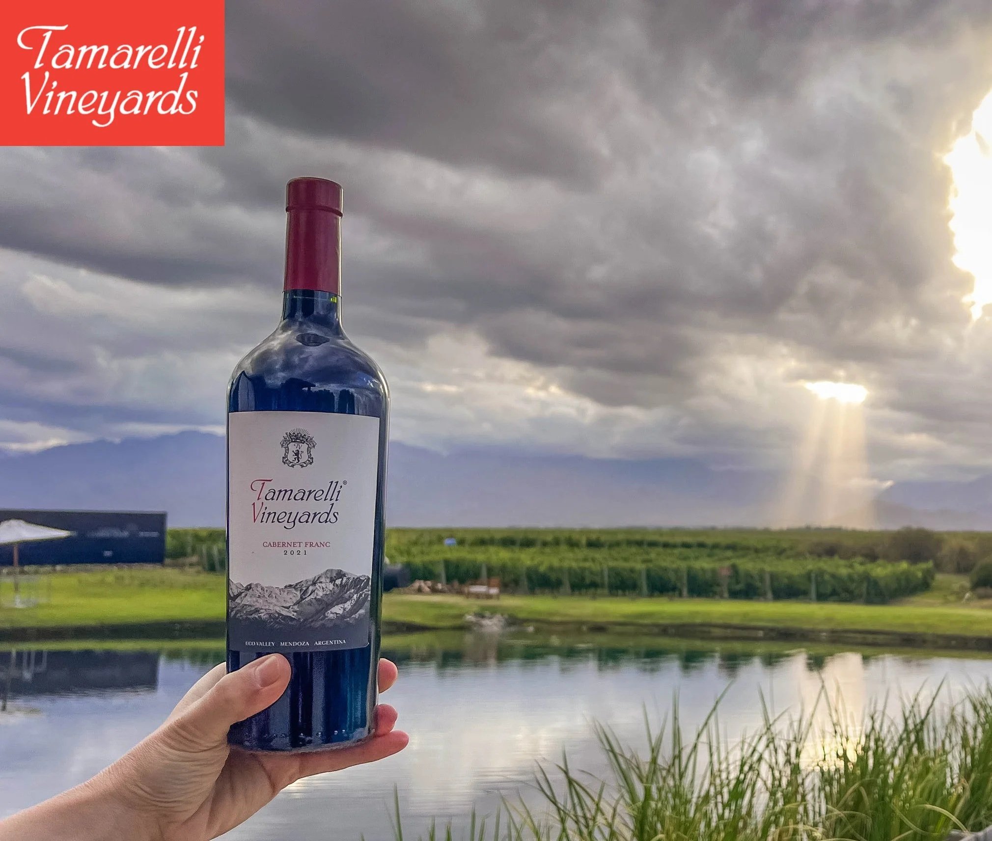 Why Los Chacayes Produces Some of the Most Exciting Wine in the World