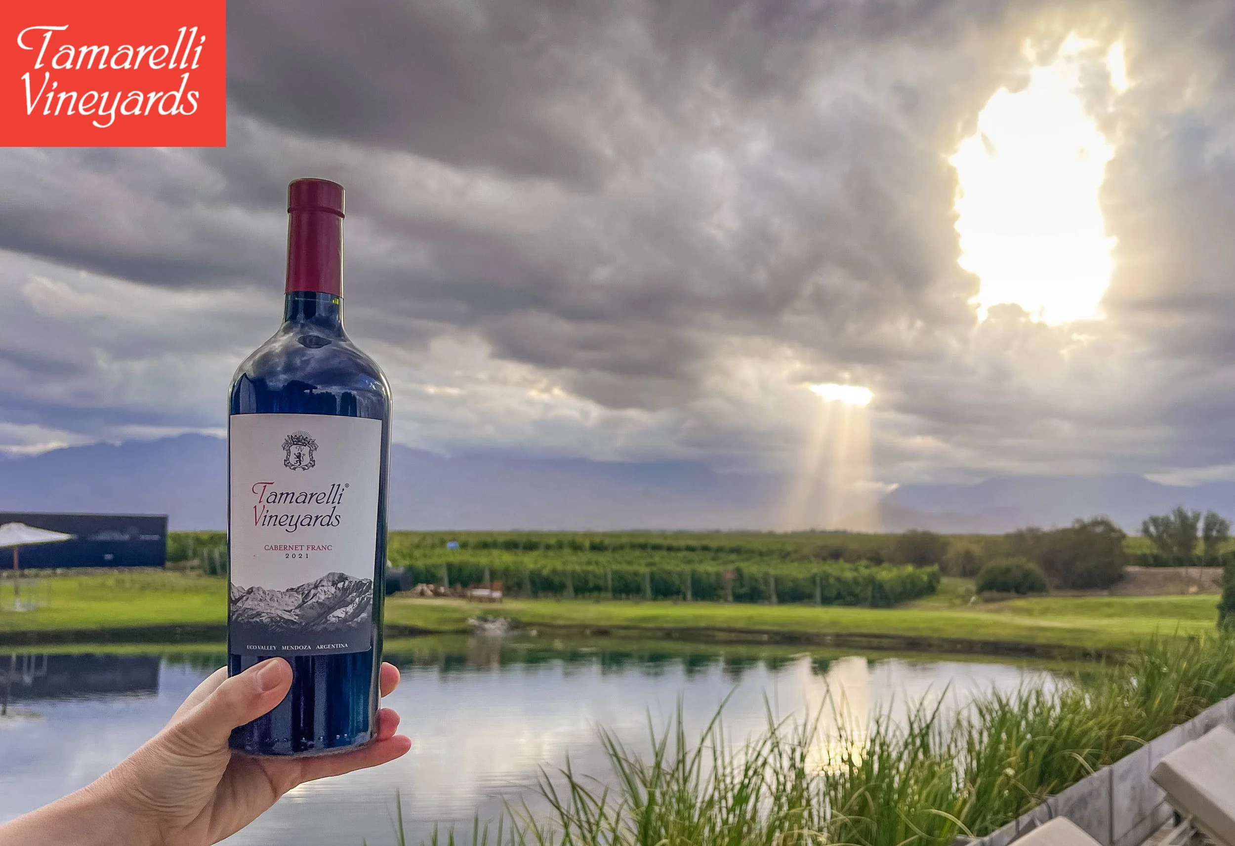 Why Los Chacayes Produces Some of the Most Exciting Wine in the World