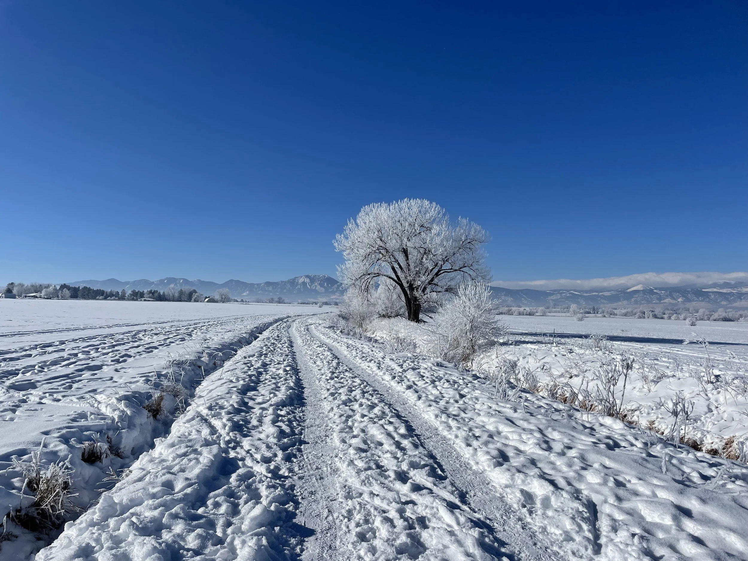 Boulder County Real Estate in 2026 Becoming More Balanced