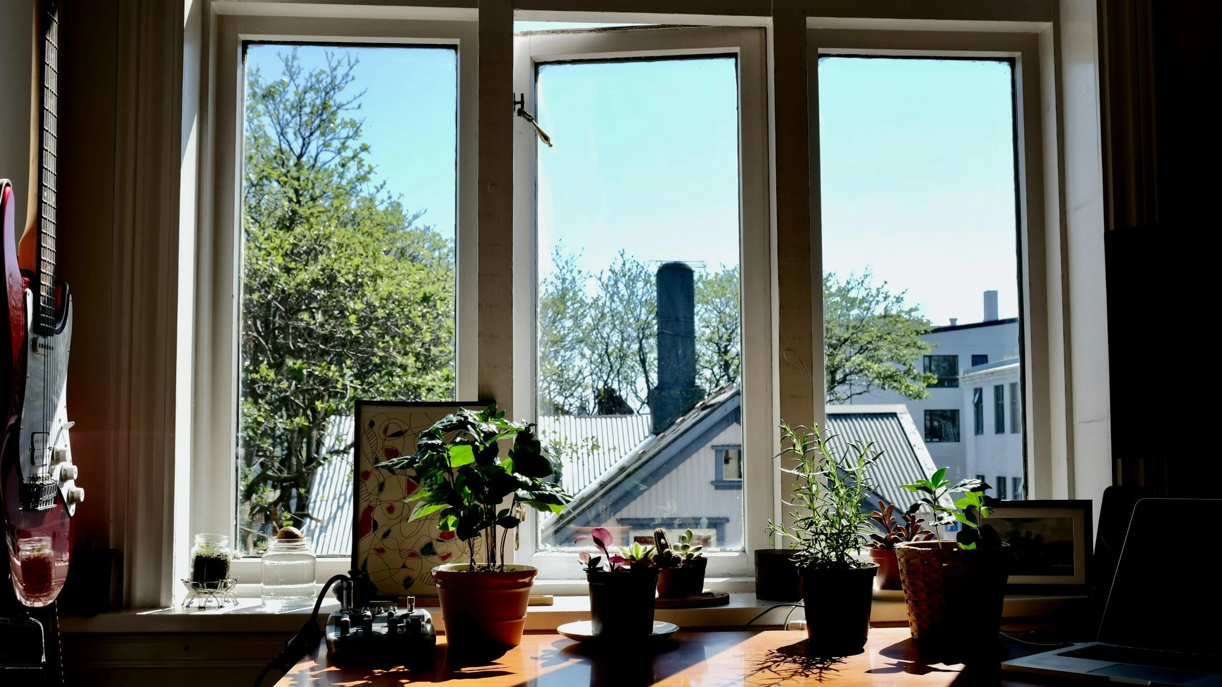 Wellness Home Features: 7 Things to Look for Before You Buy