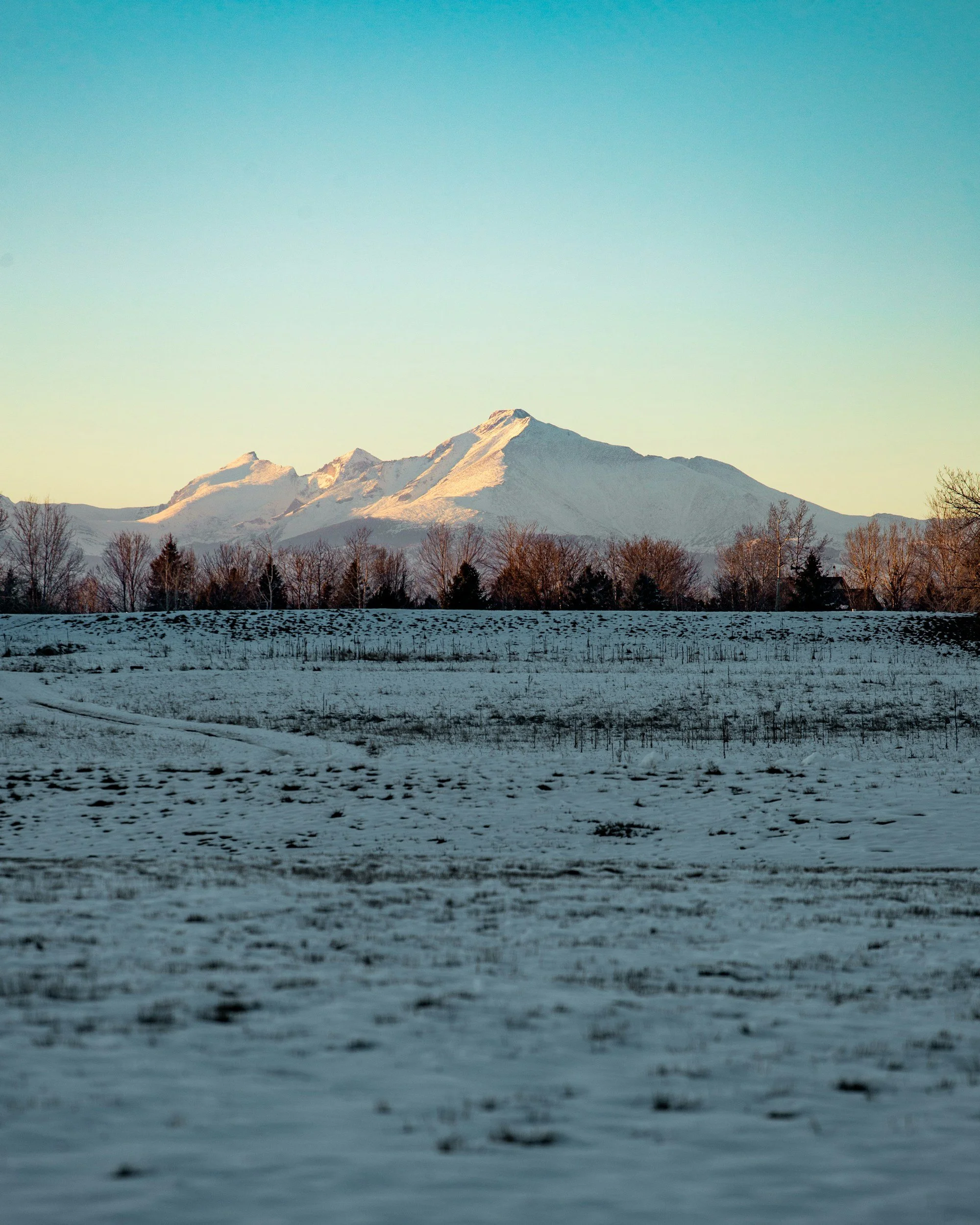 Living in Lafayette, Colorado: A Local's Honest Guide