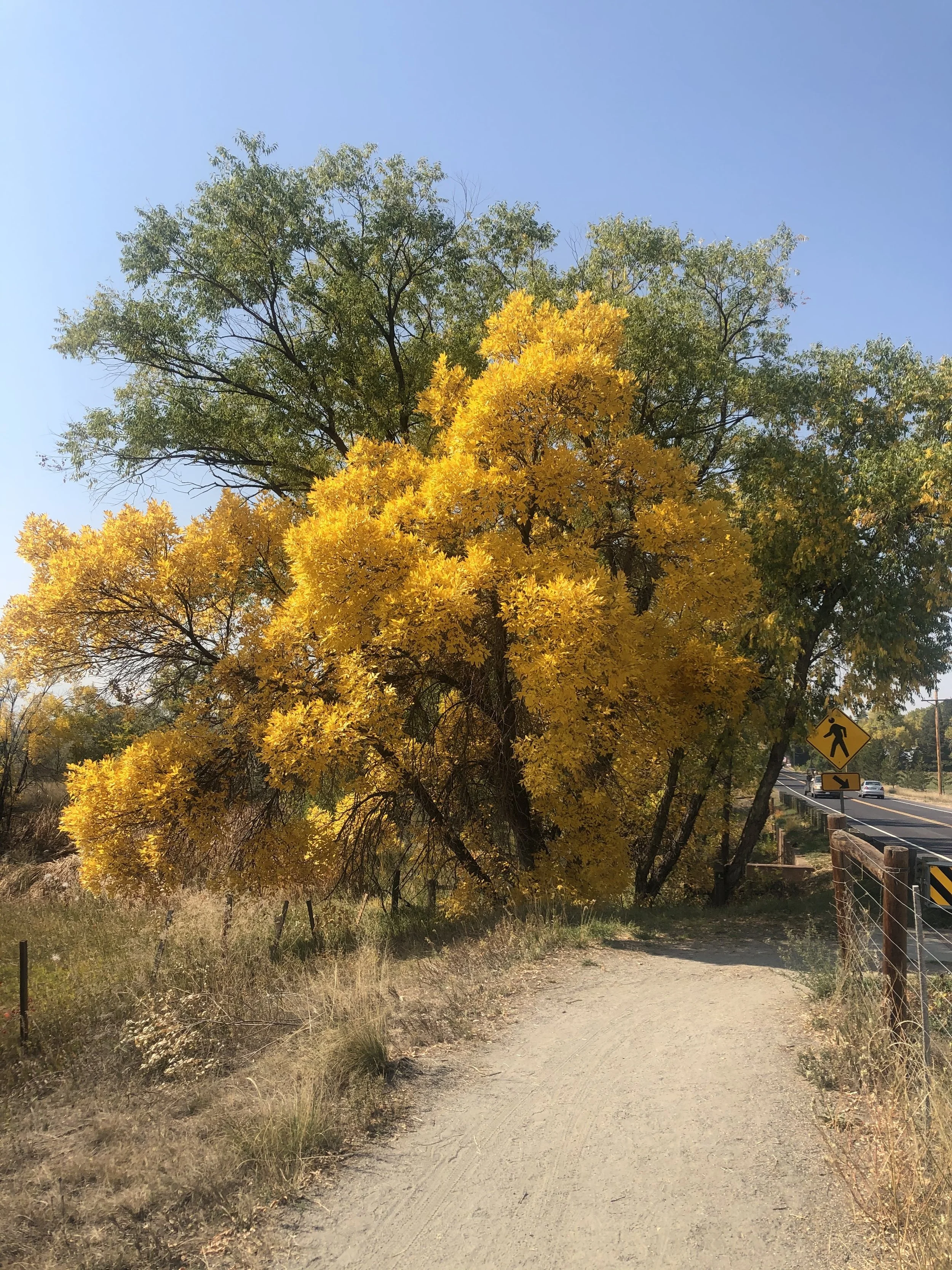 Autumn Tiptoes In - Small Ways to Welcome the Season Home