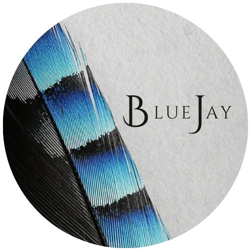 BLUEJAY