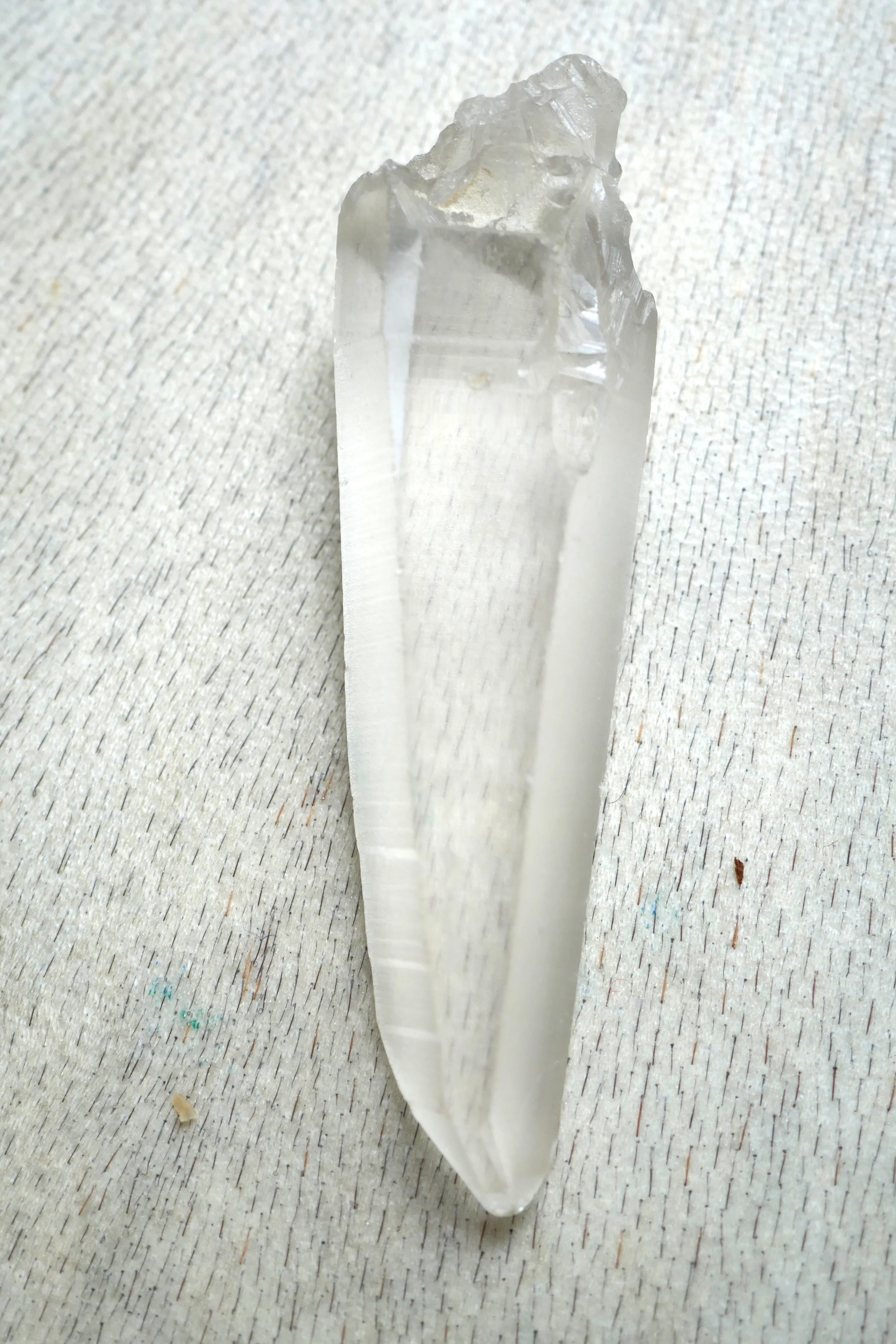 P1000263.JPG