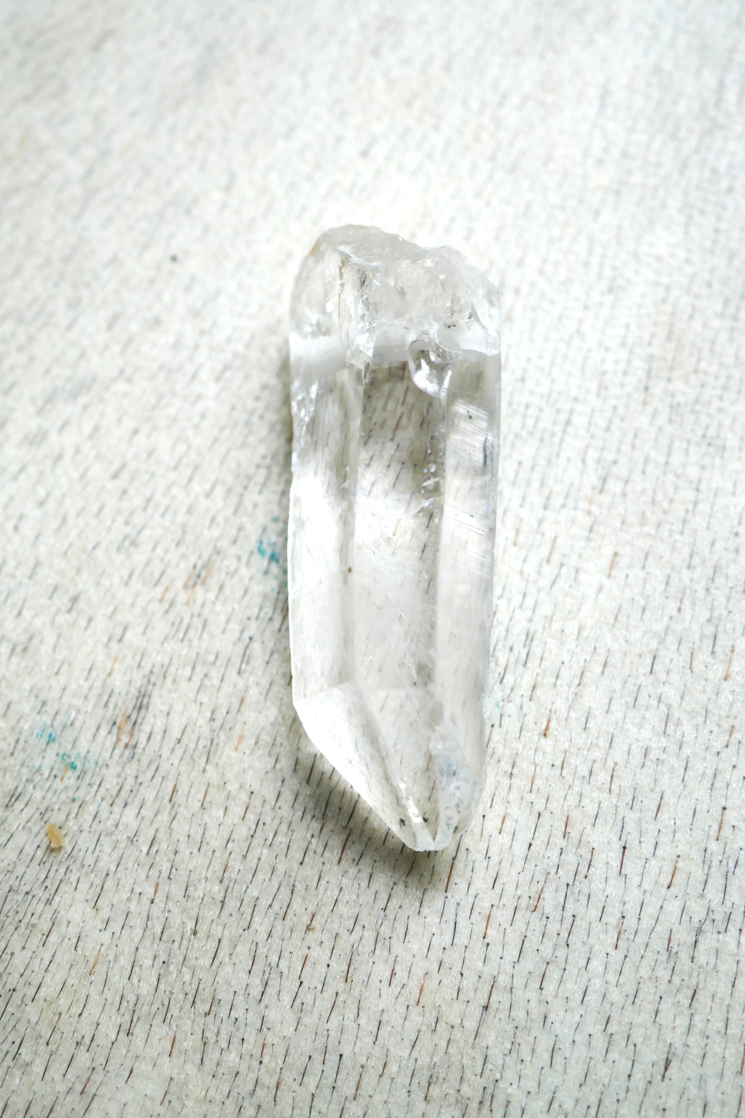 P1000266.JPG
