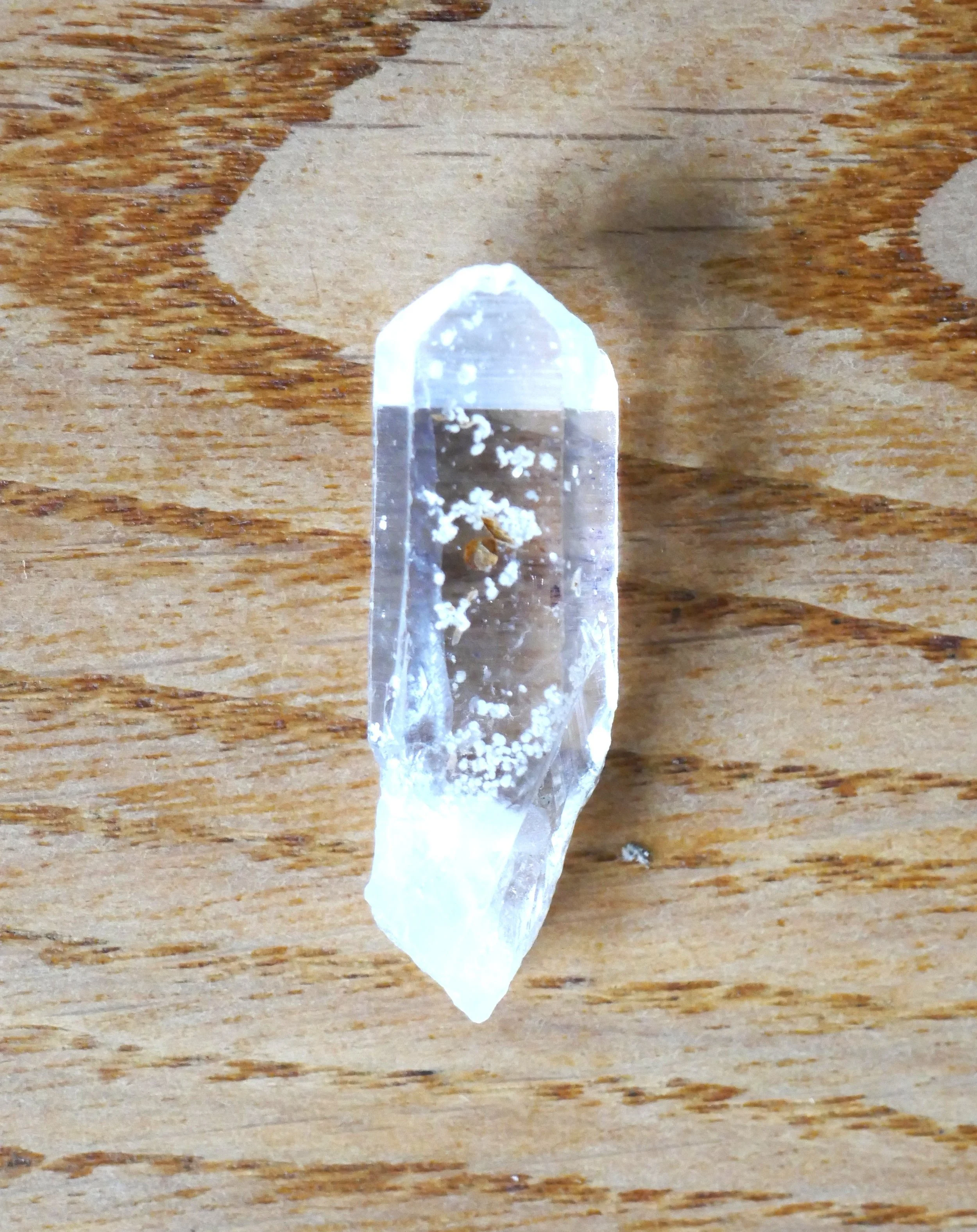 P1000271.JPG