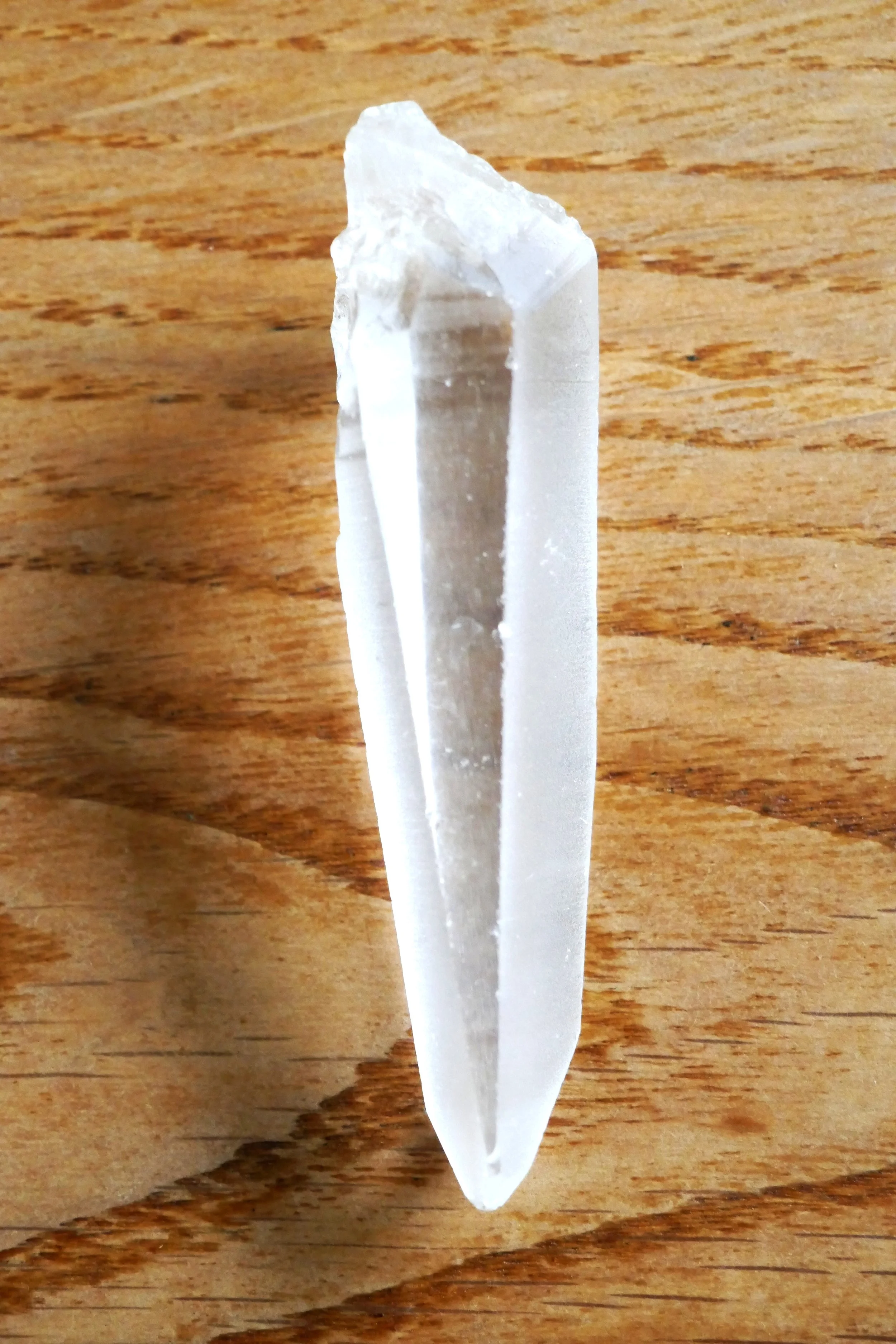 Lem 1a.JPG