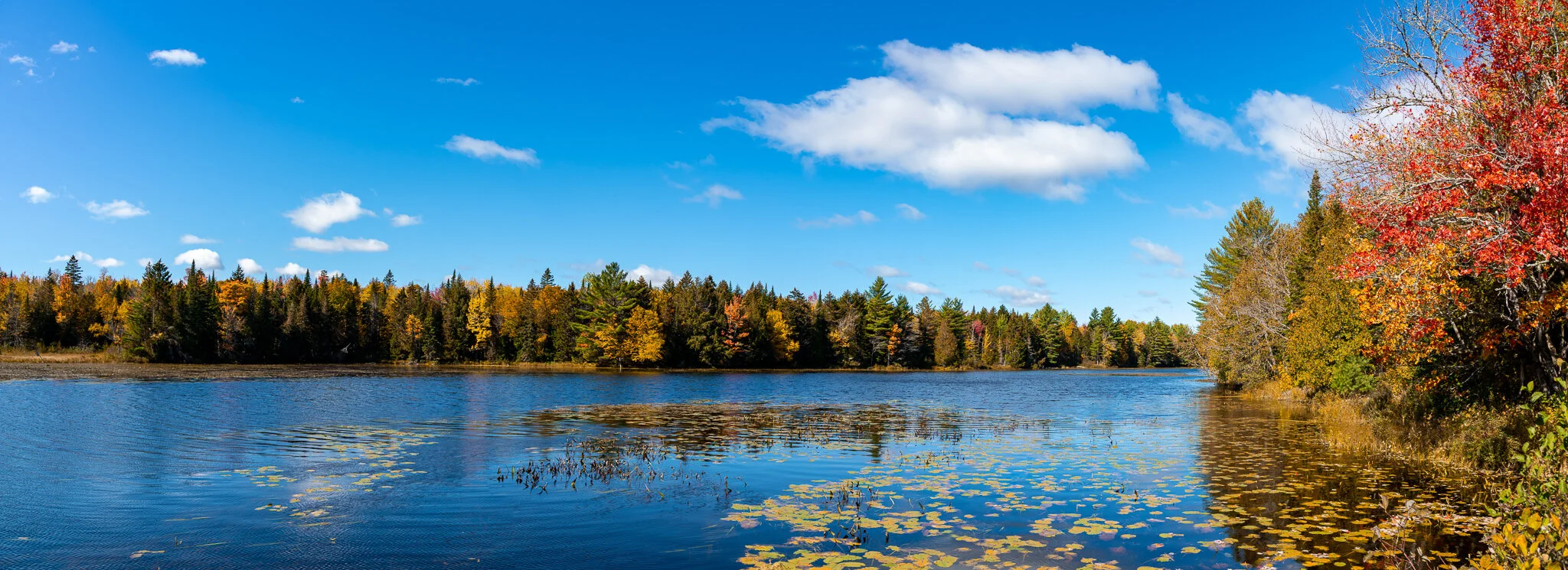 Affordable Housing in Maine, Rental Homes — My Home Maine